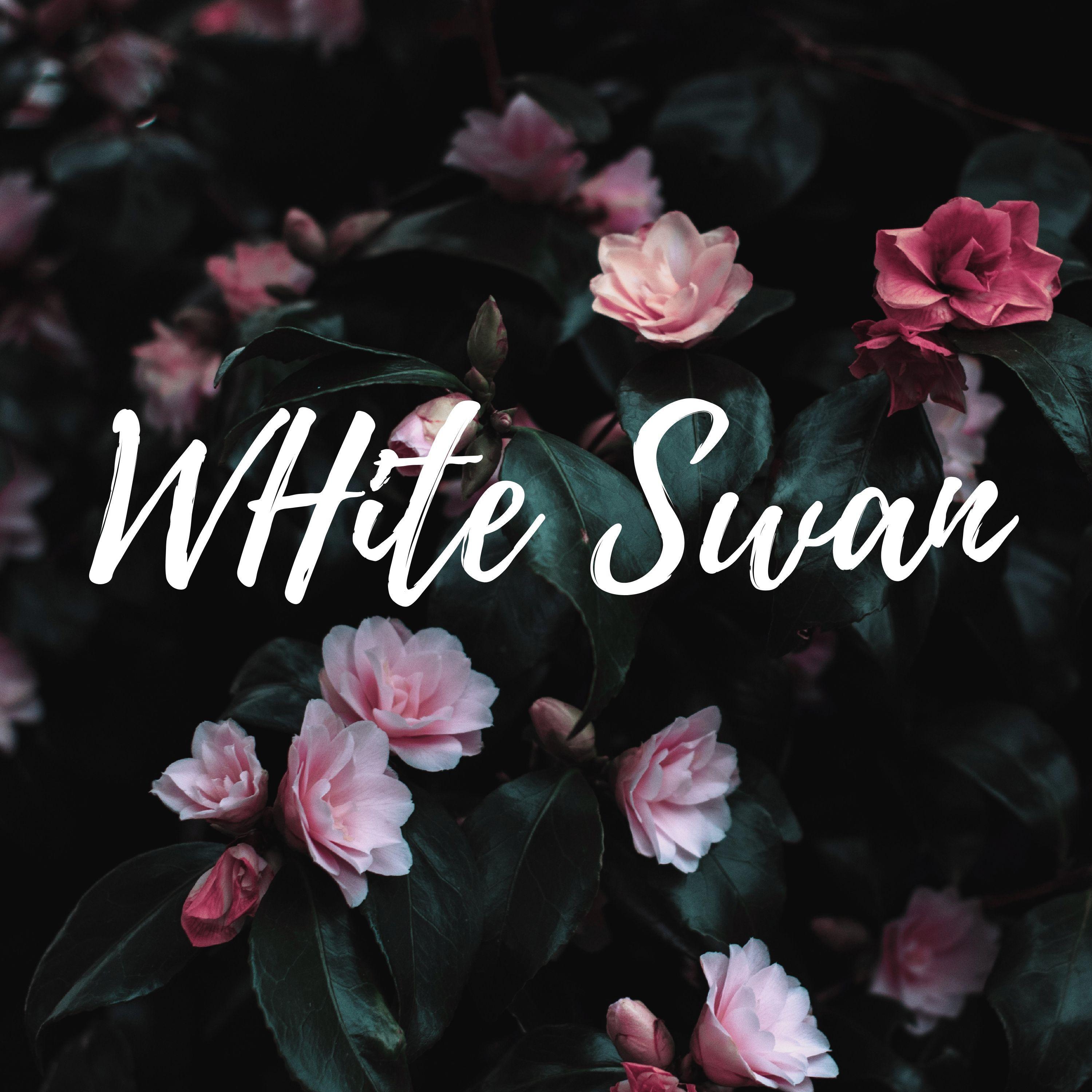 White Swan