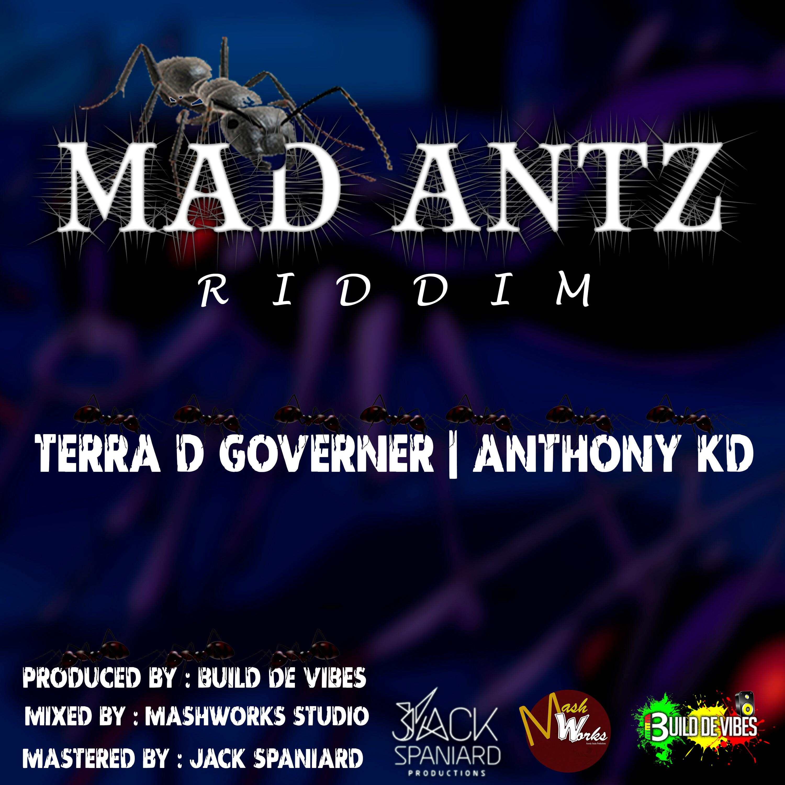 Mad Antz Riddim