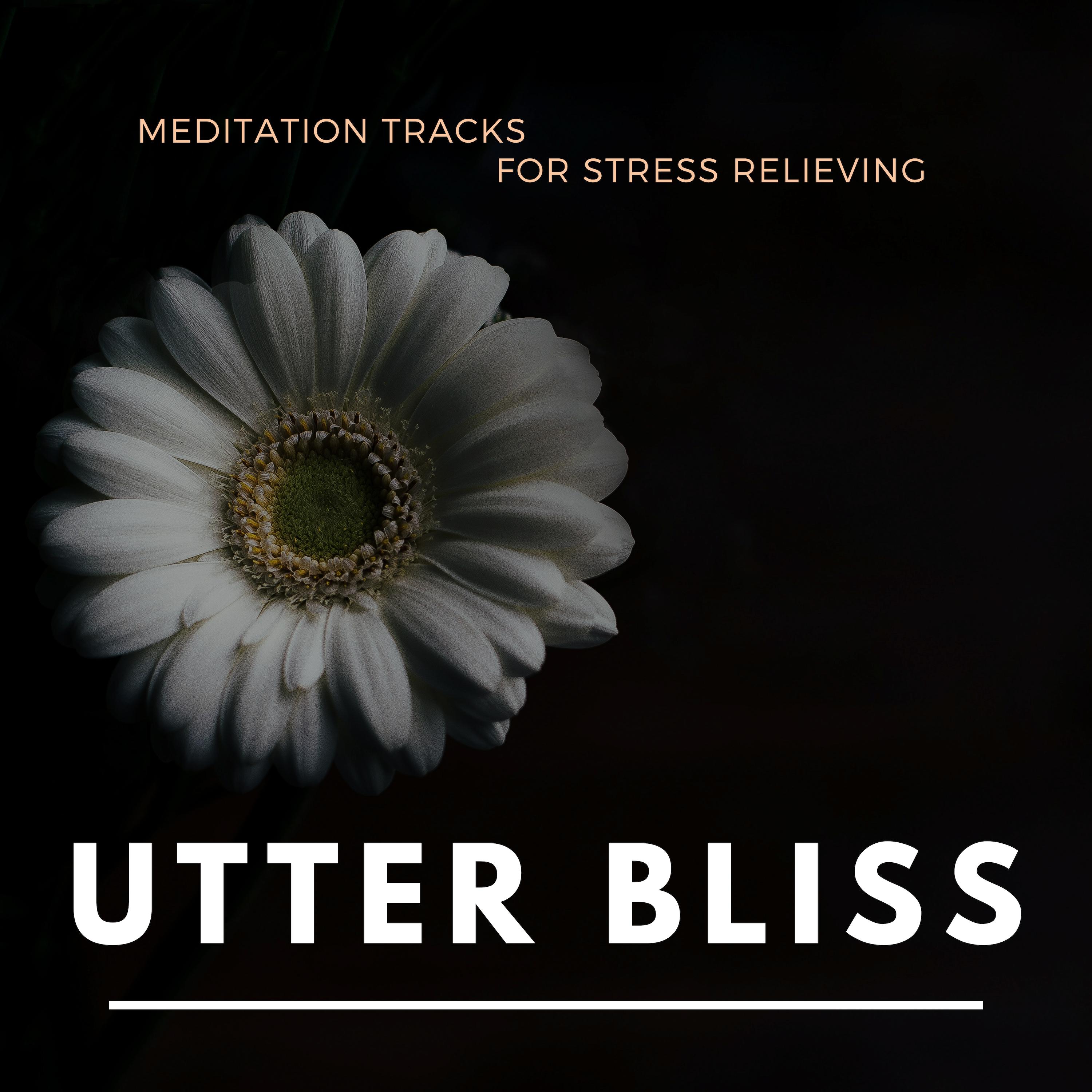 Utter Bliss - Meditation Tracks For Stress Relieving