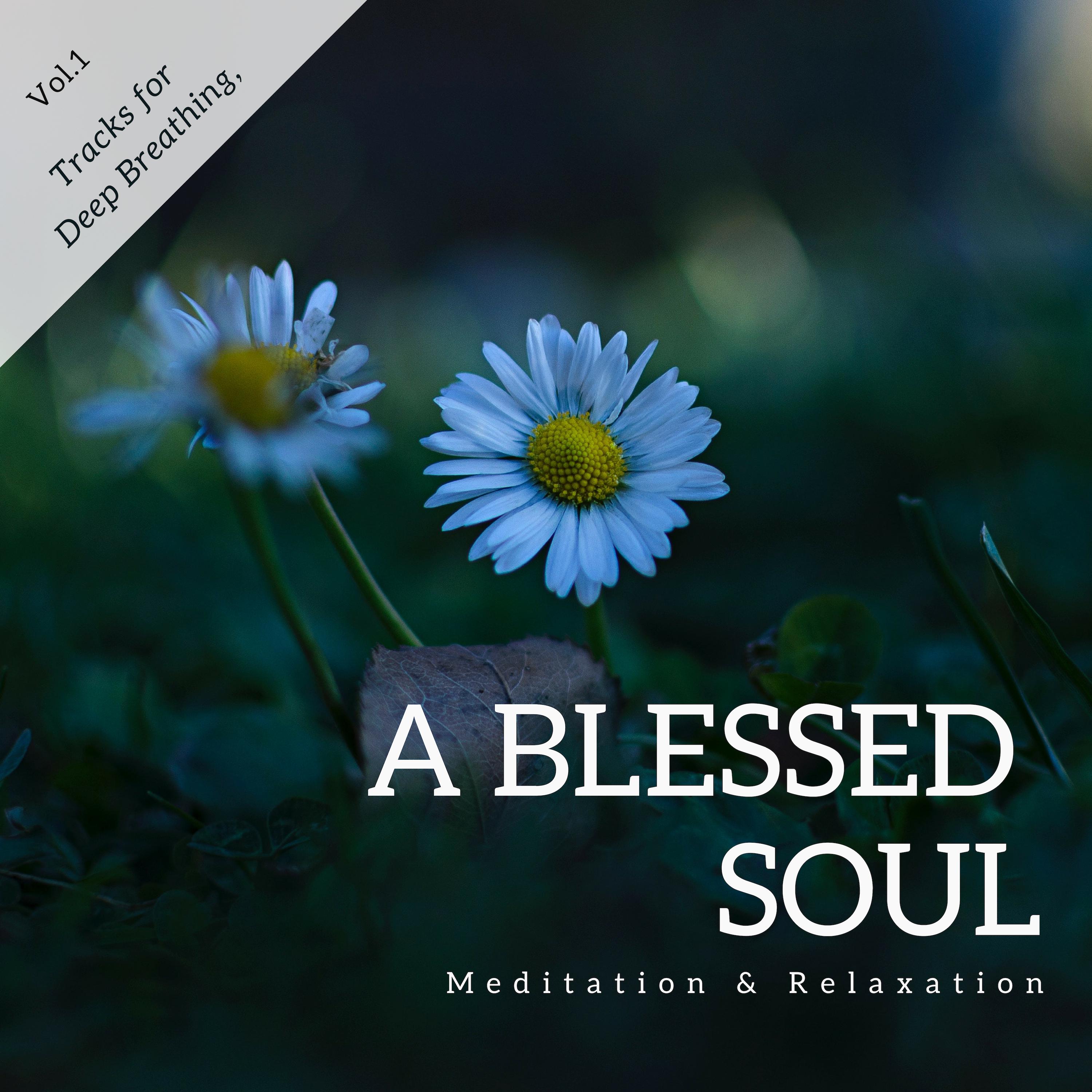 A Blessed Soul - Tracks For Deep Breathing, Meditation & Relaxation Vol.1