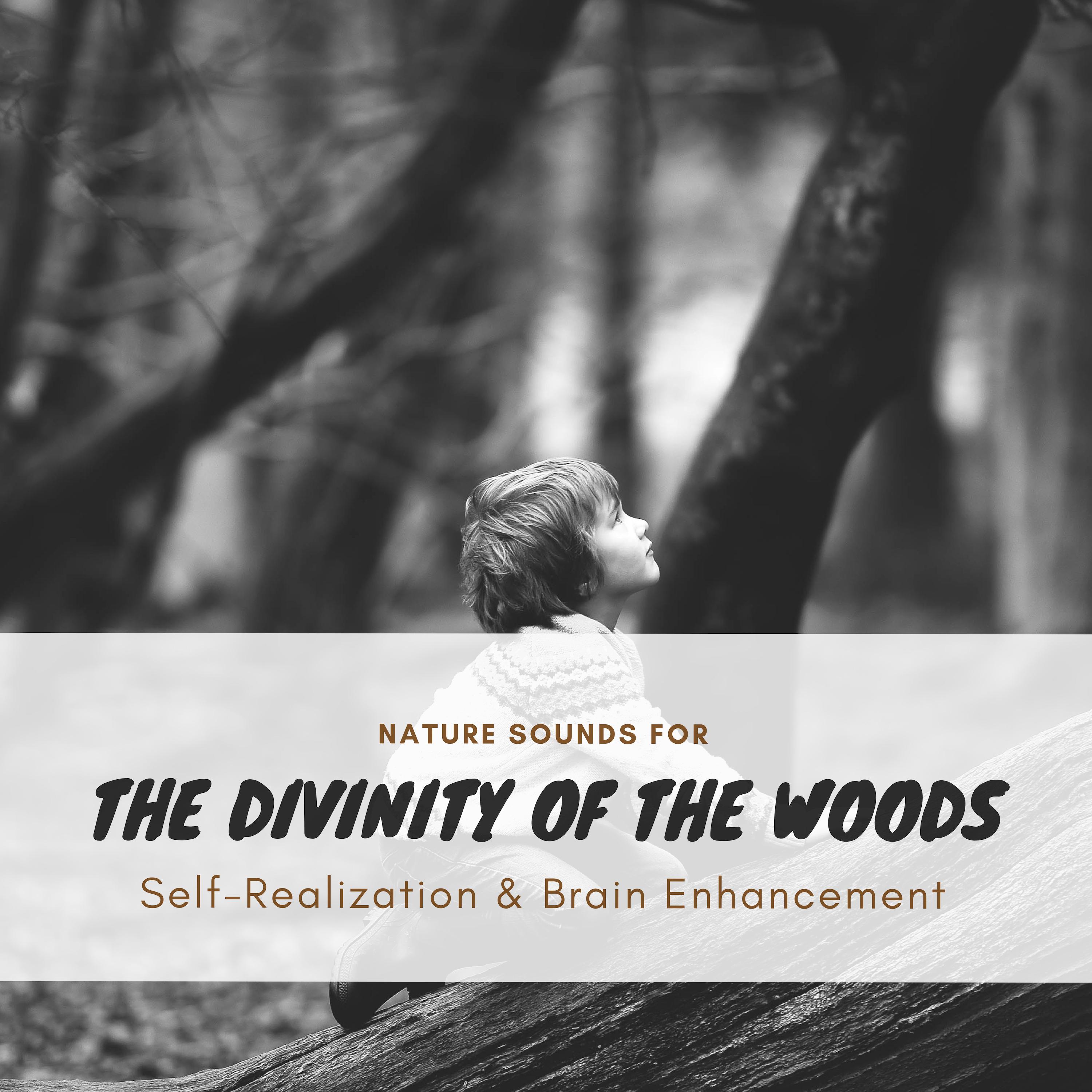 The Divinity Of The Woods - Nature Sounds For Self-Realization & Brain Enhancement