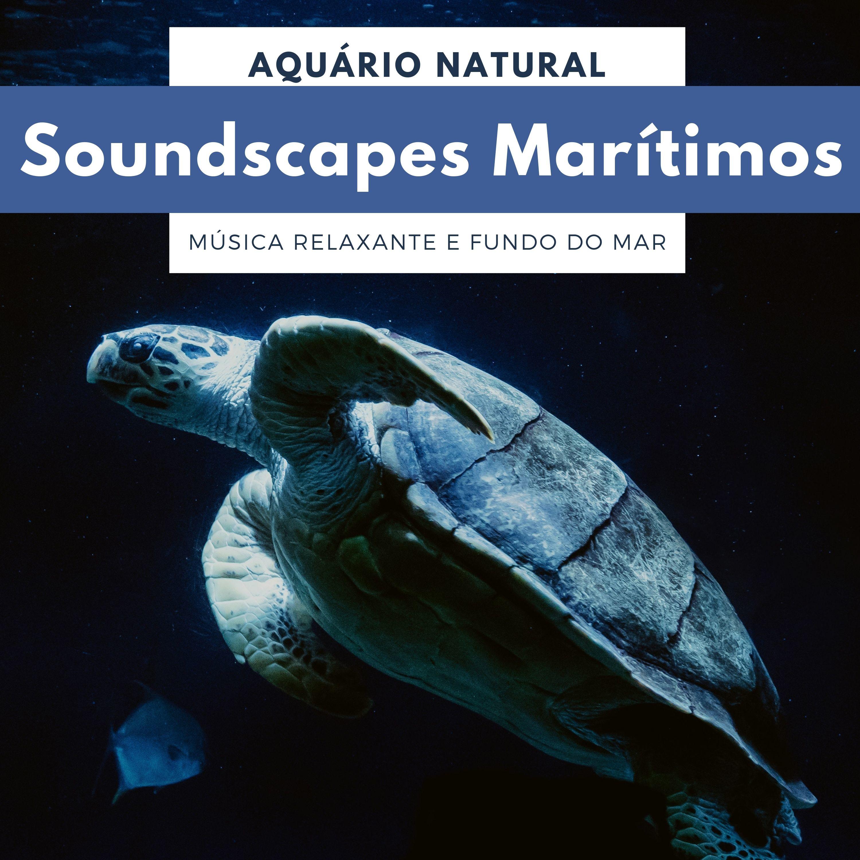 Viver em Paz Consigo Mesmo