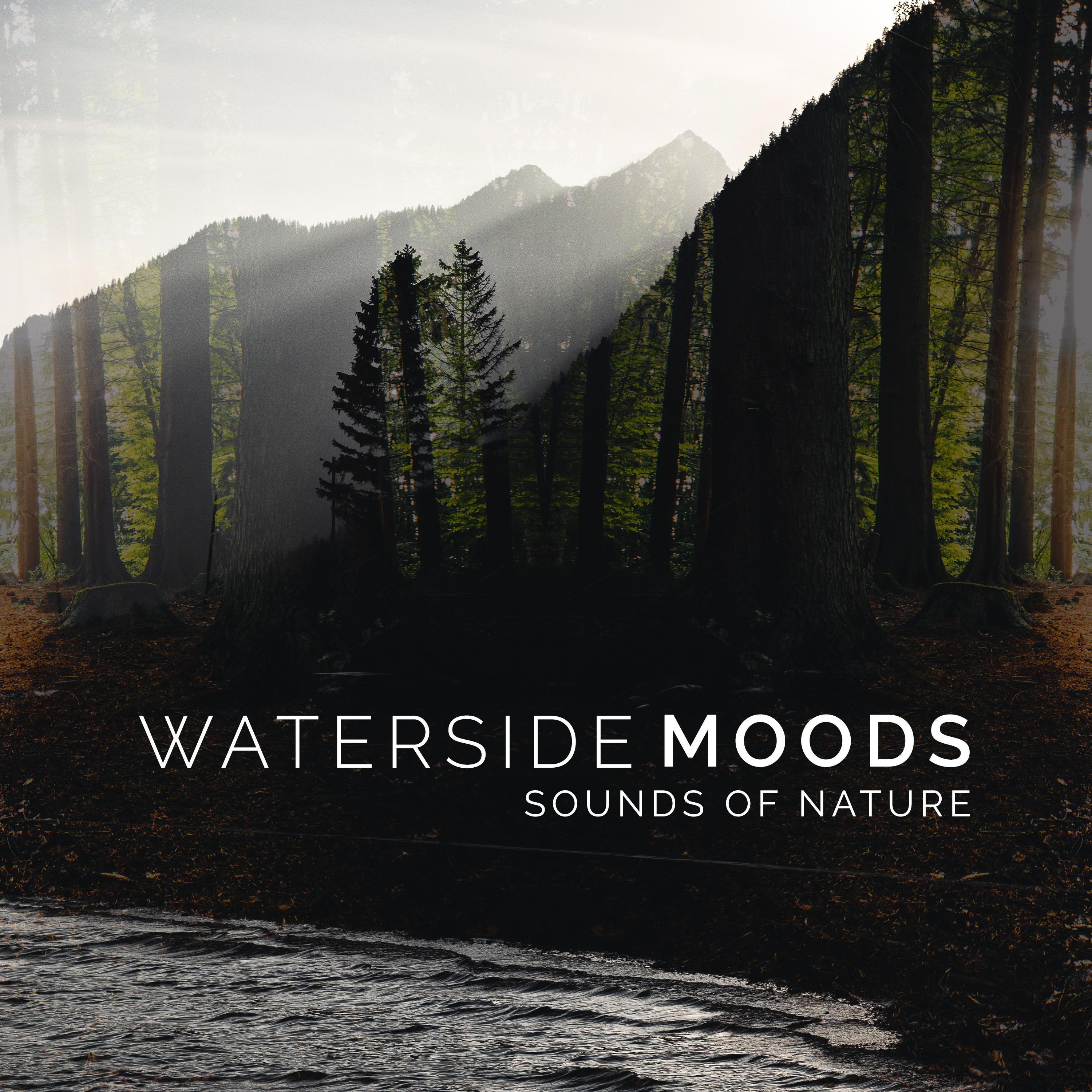 Waterside Moods