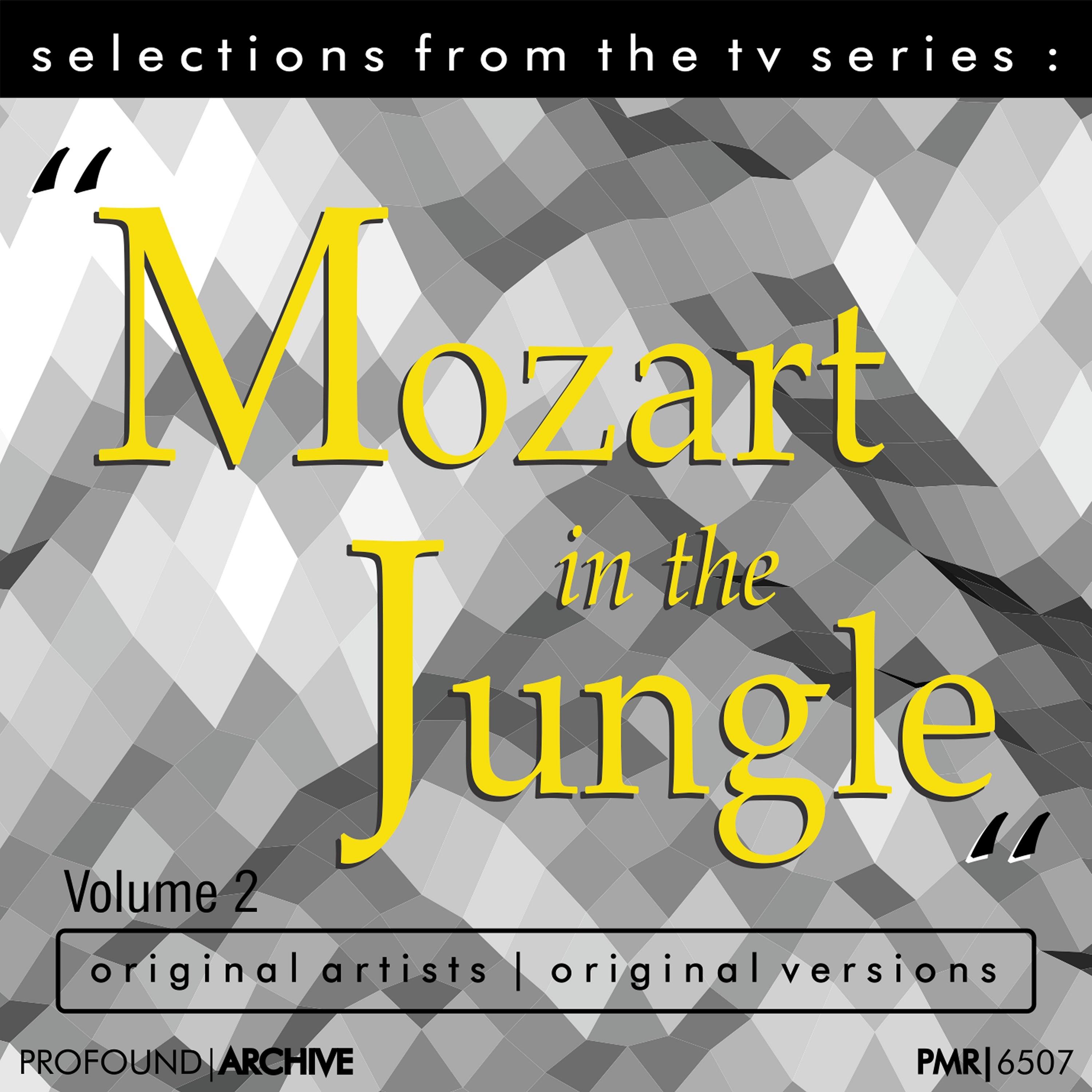 Violin Concerto in D Major, Op. 35: I. Allegro Moderato - Moderato Assai