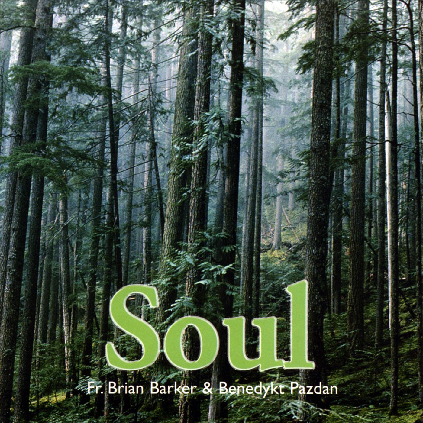 The Stillness of My Soul