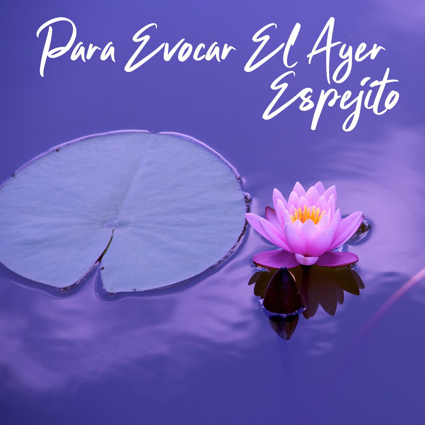 La Quiero Porque la Quiero