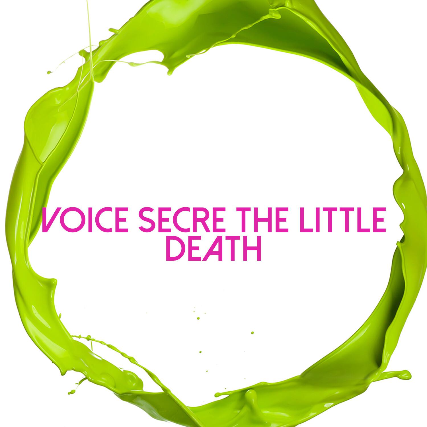 Voice Secre the Little Death