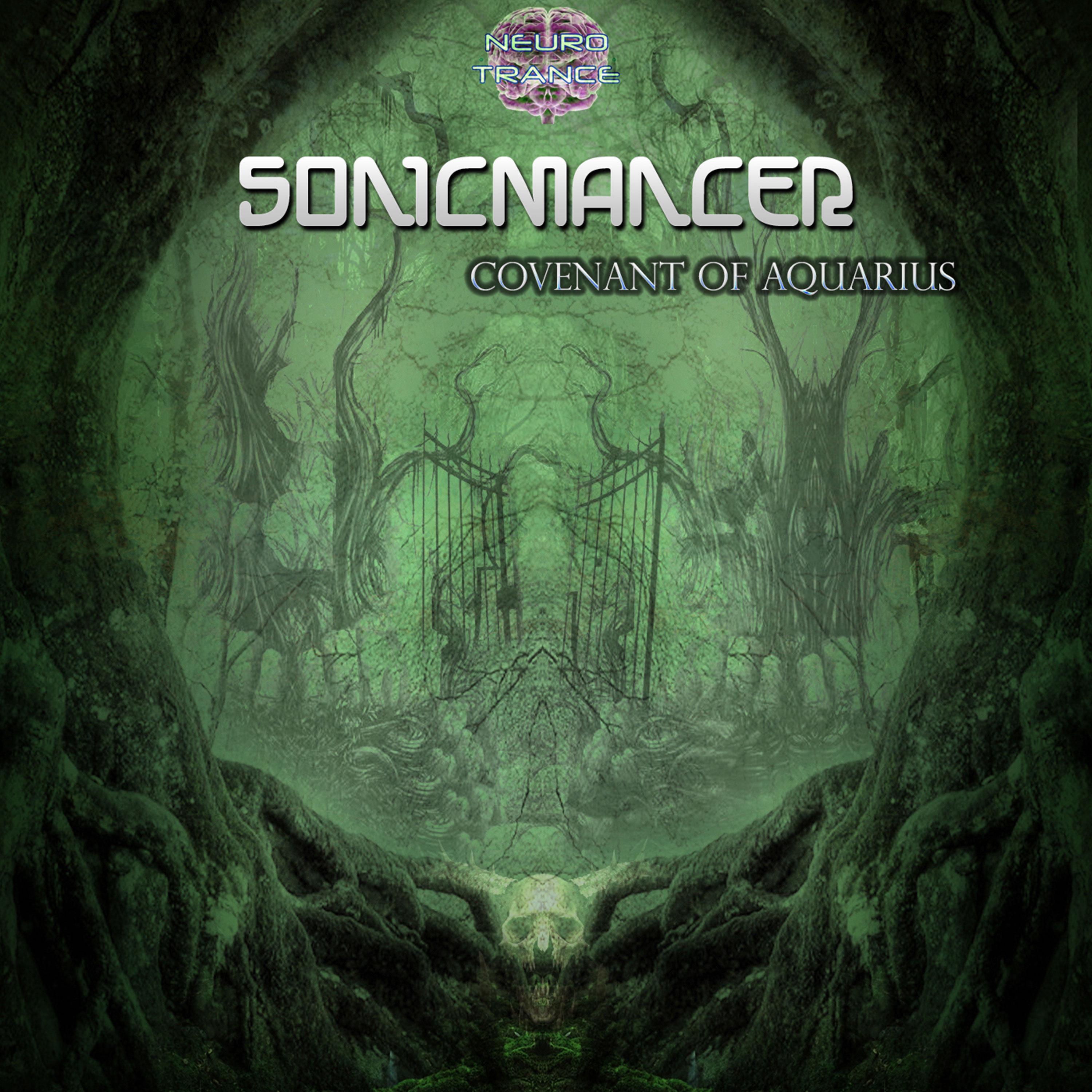 Covenant of Aquarius