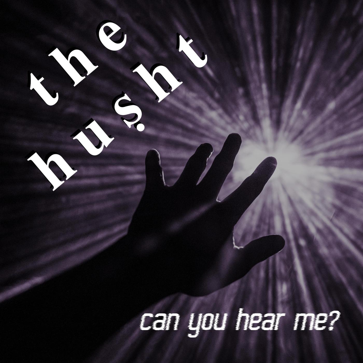 Can You Hear Me?