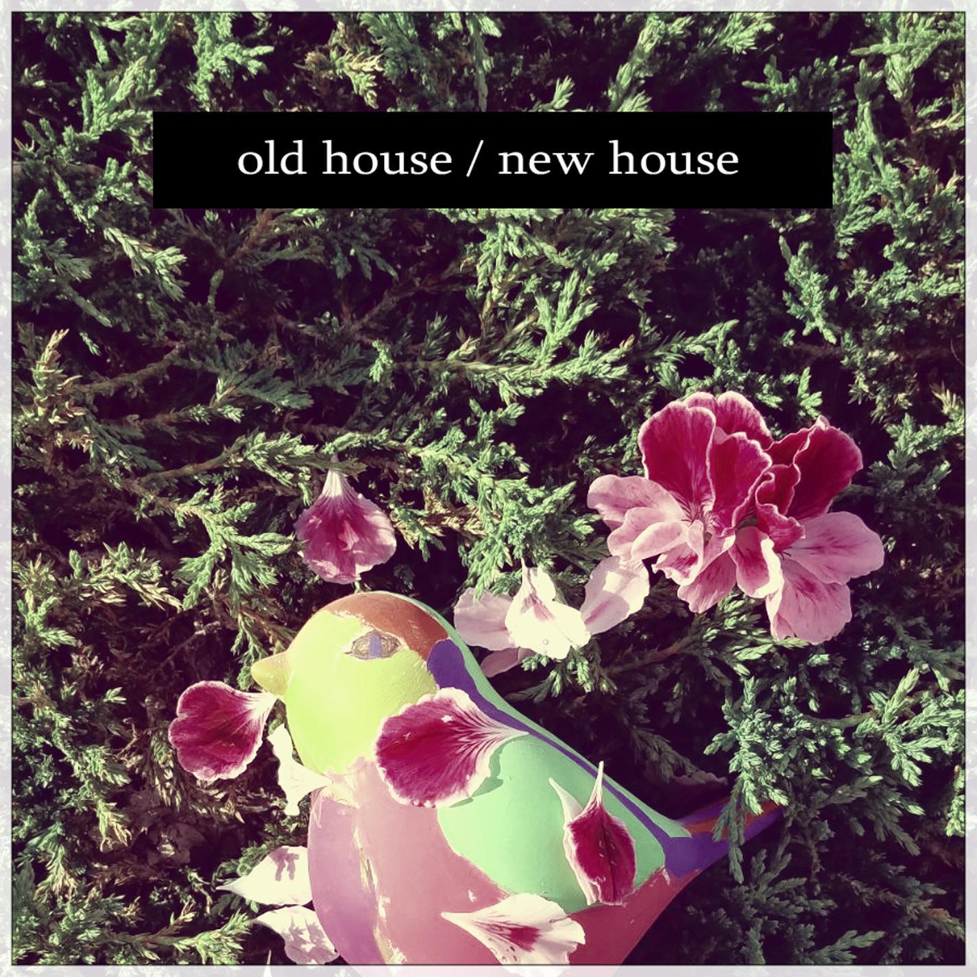Old House/New House