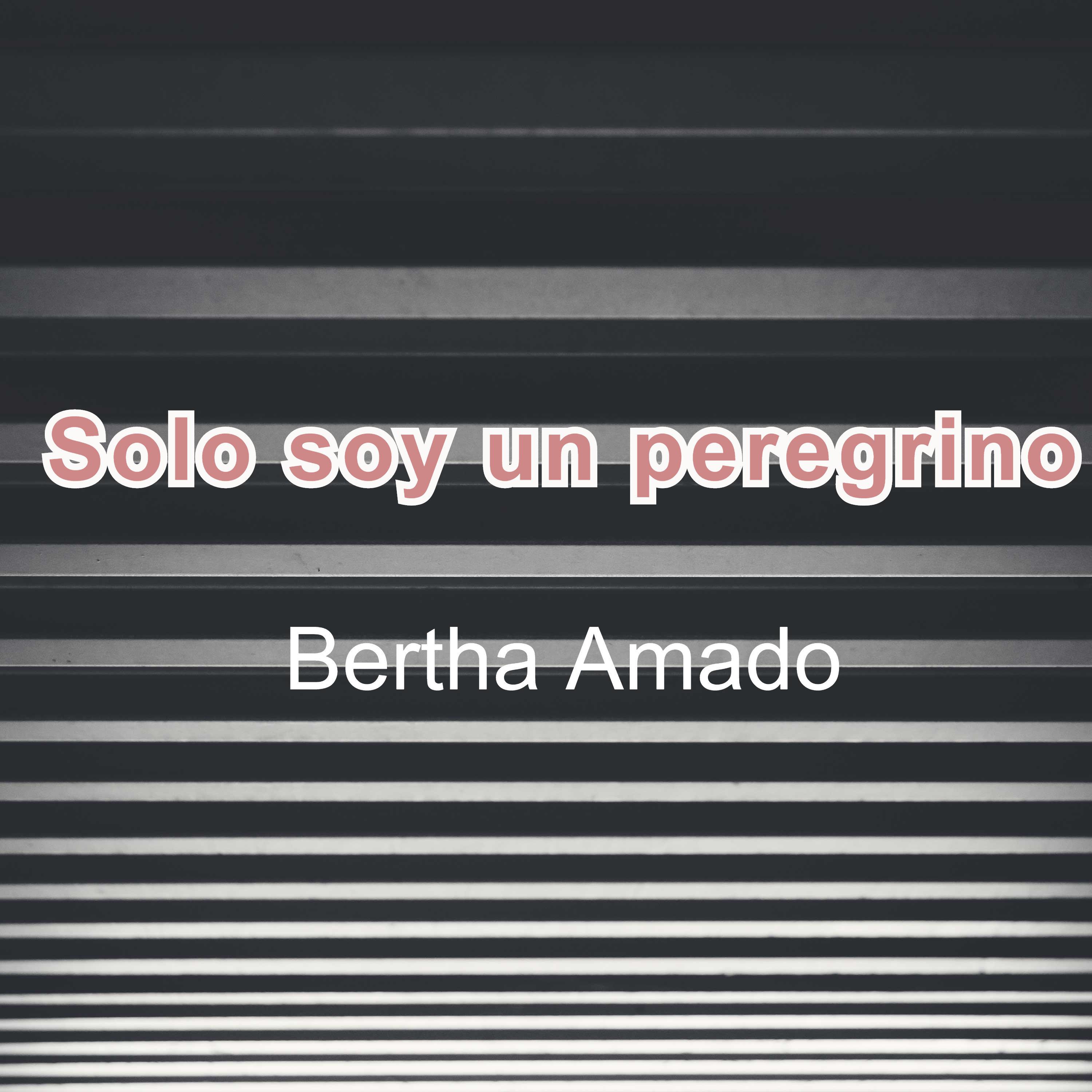 Solo soy un peregrino