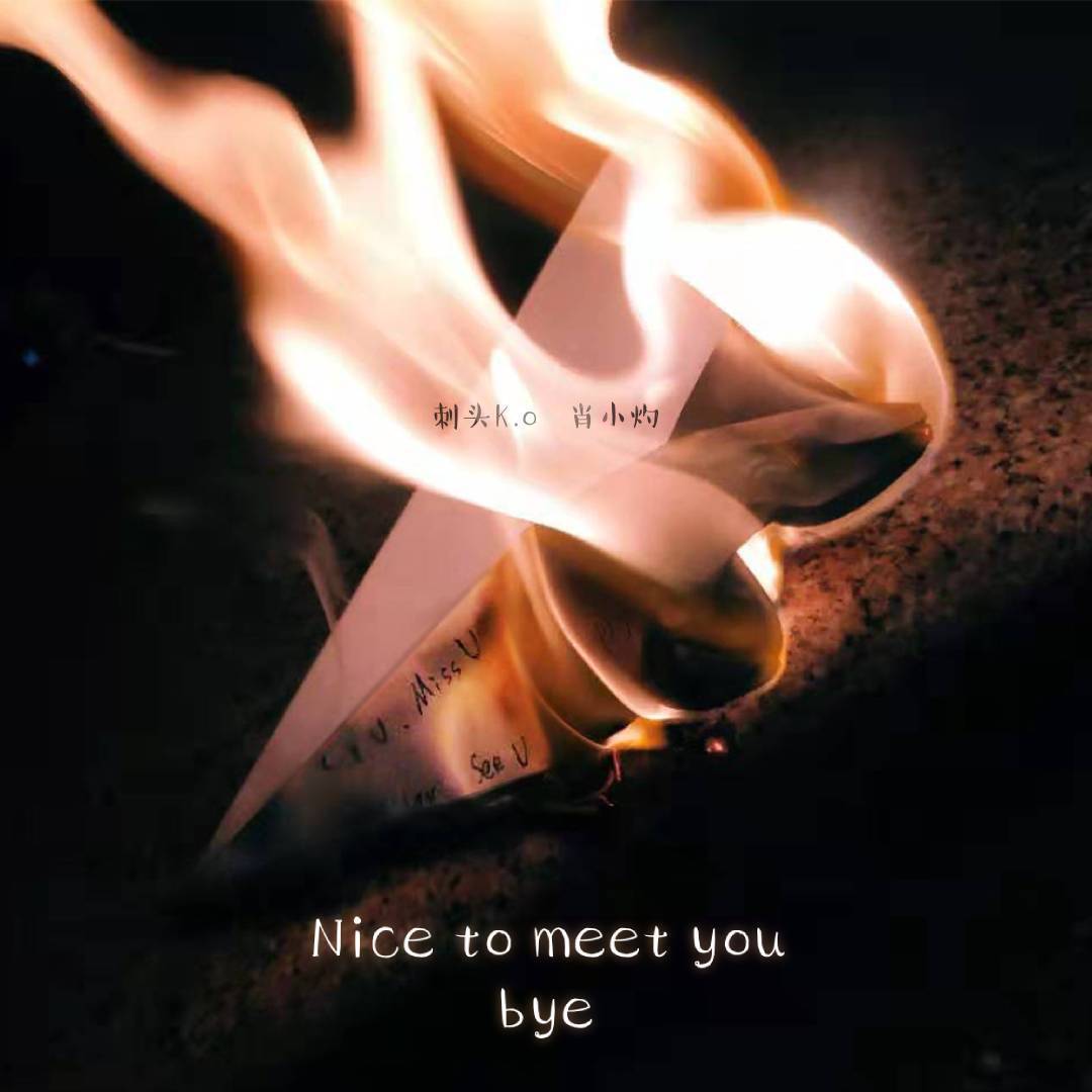 hen gao xing ren shi ni, zai jian