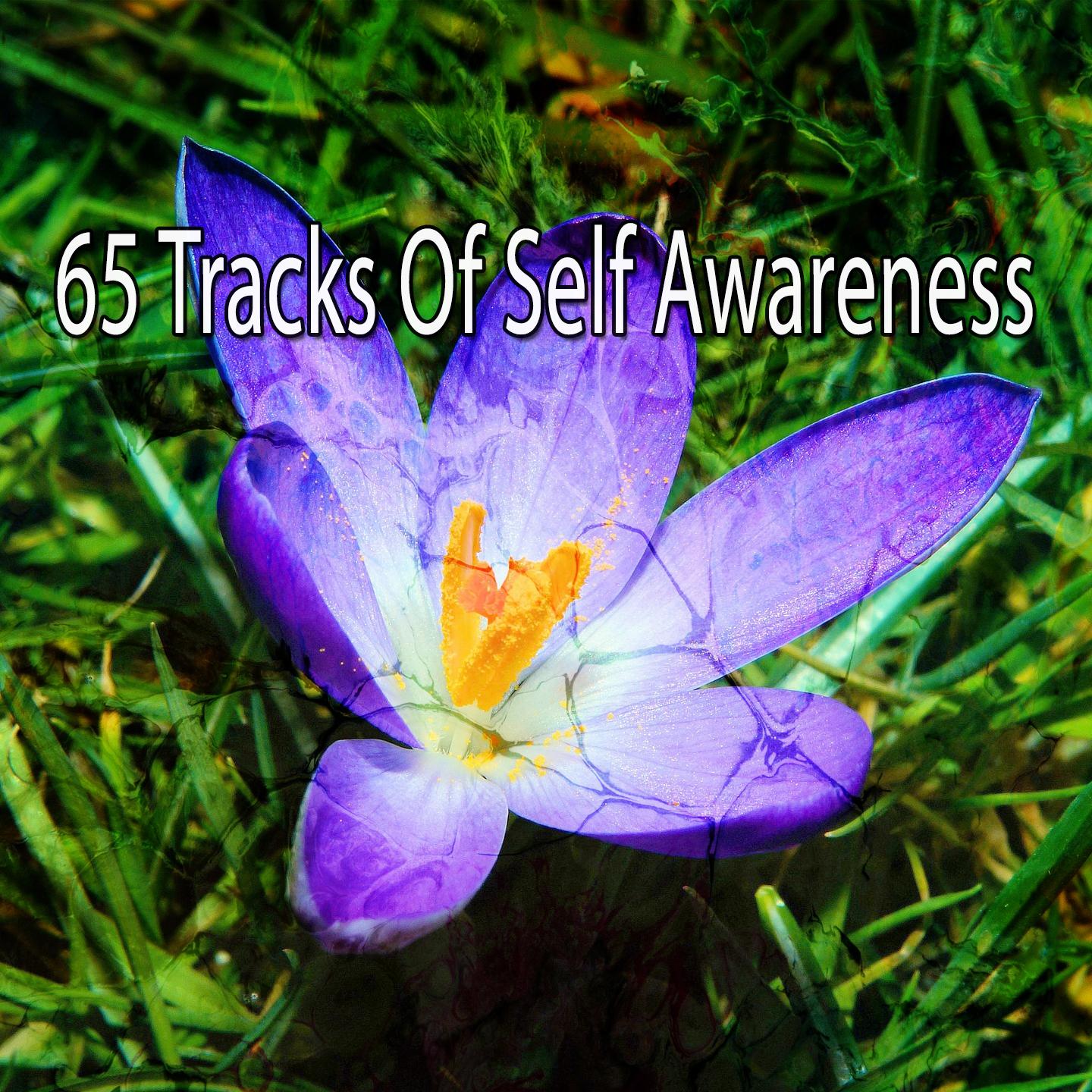 65 Tracks of Self Awareness