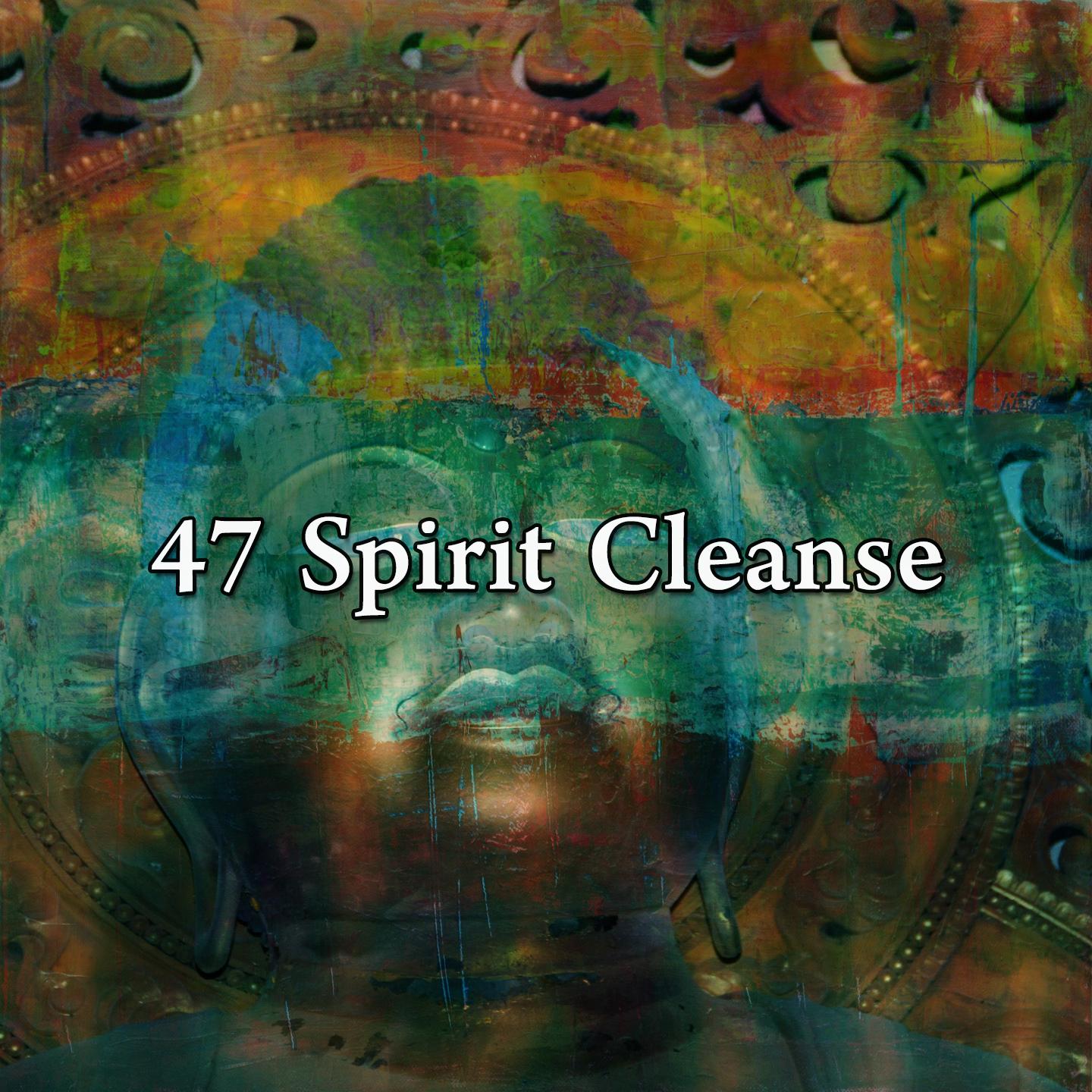 47 Spirit Cleanse
