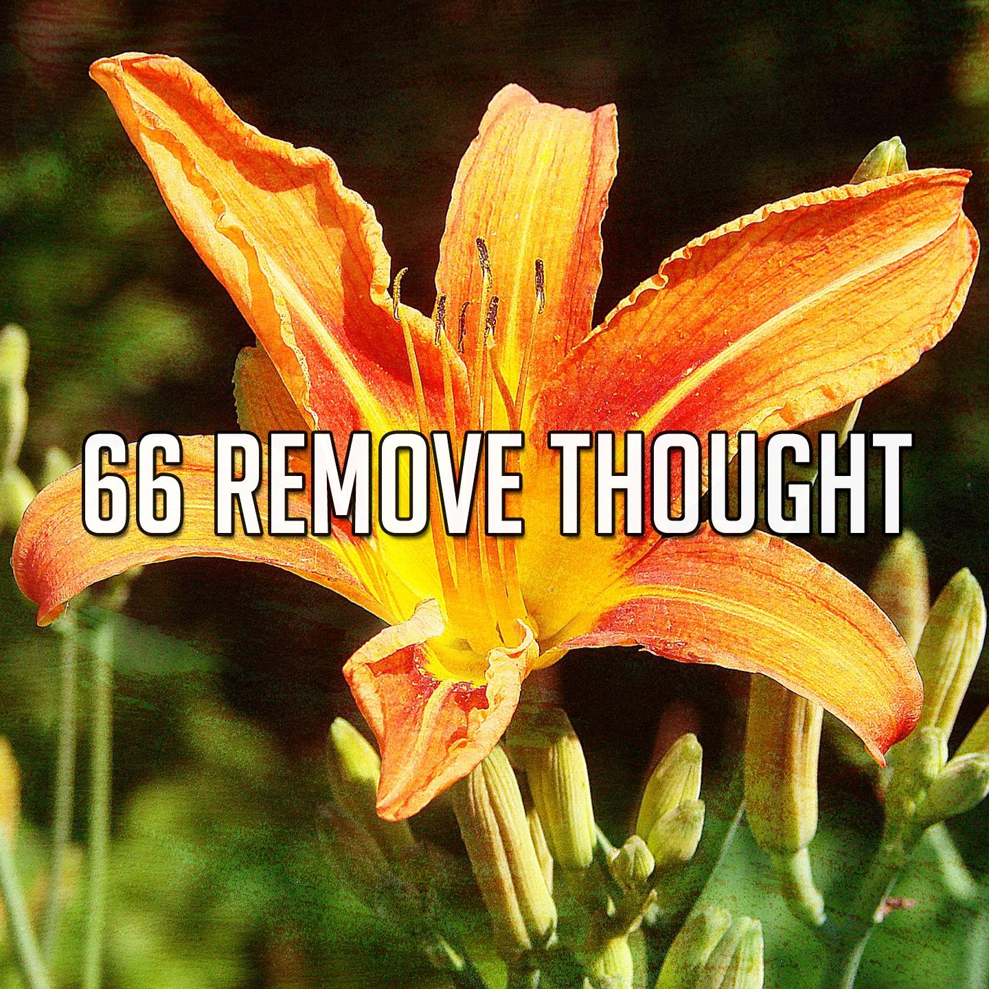 66 Remove Thought