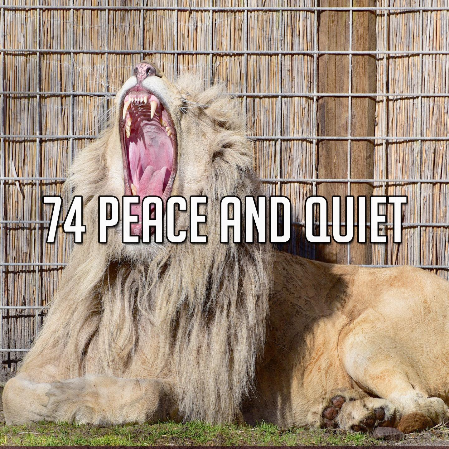 74 Peace and Quiet