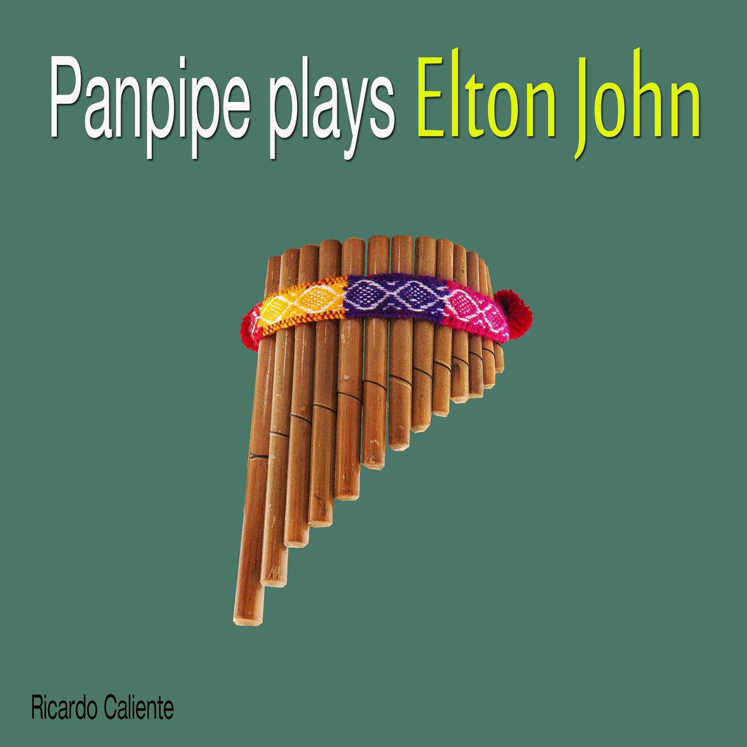 Panpipe Plays Elton John