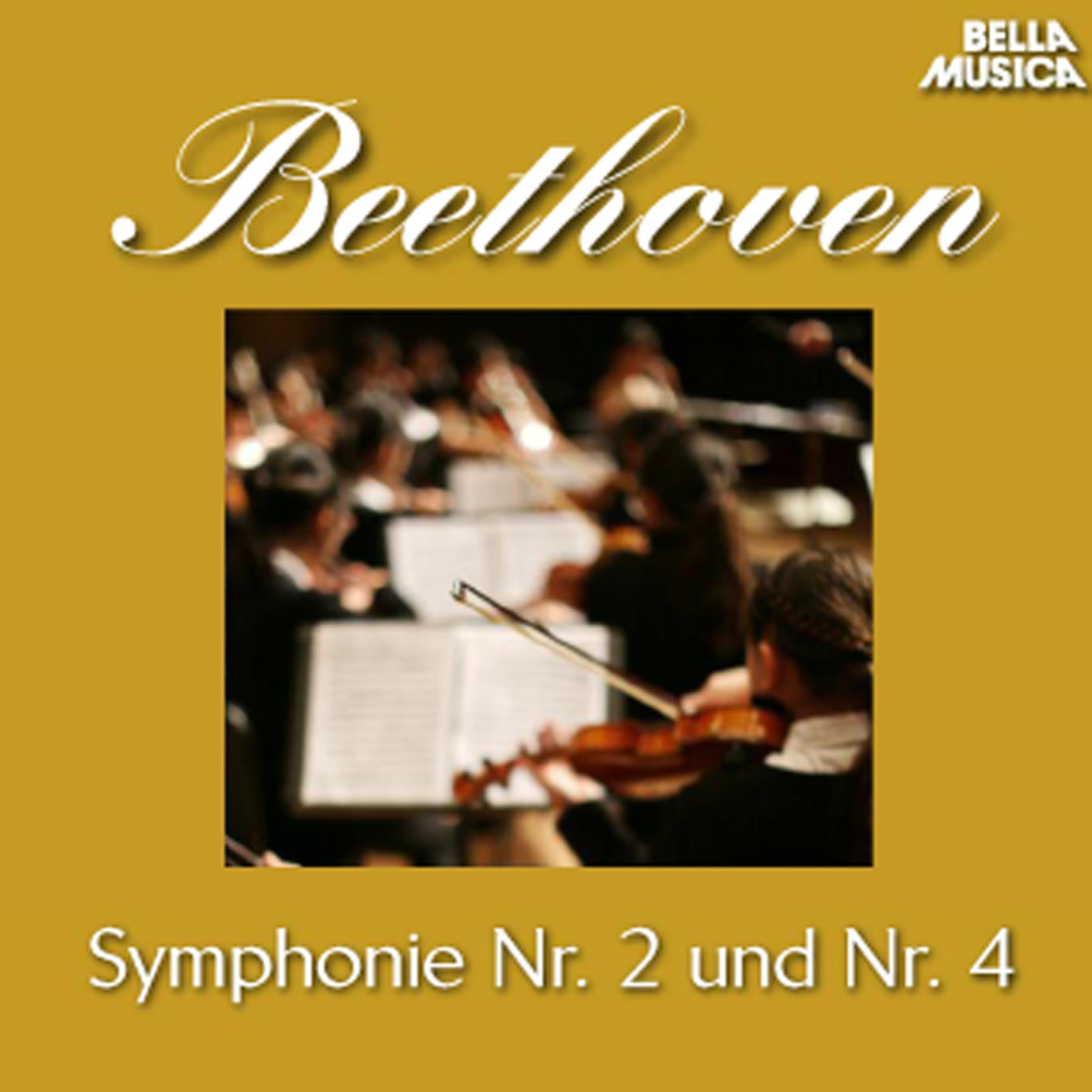 Sinfonie No. 4 fü r Orchester in BFlat Major, Op. 60: II. Adagio