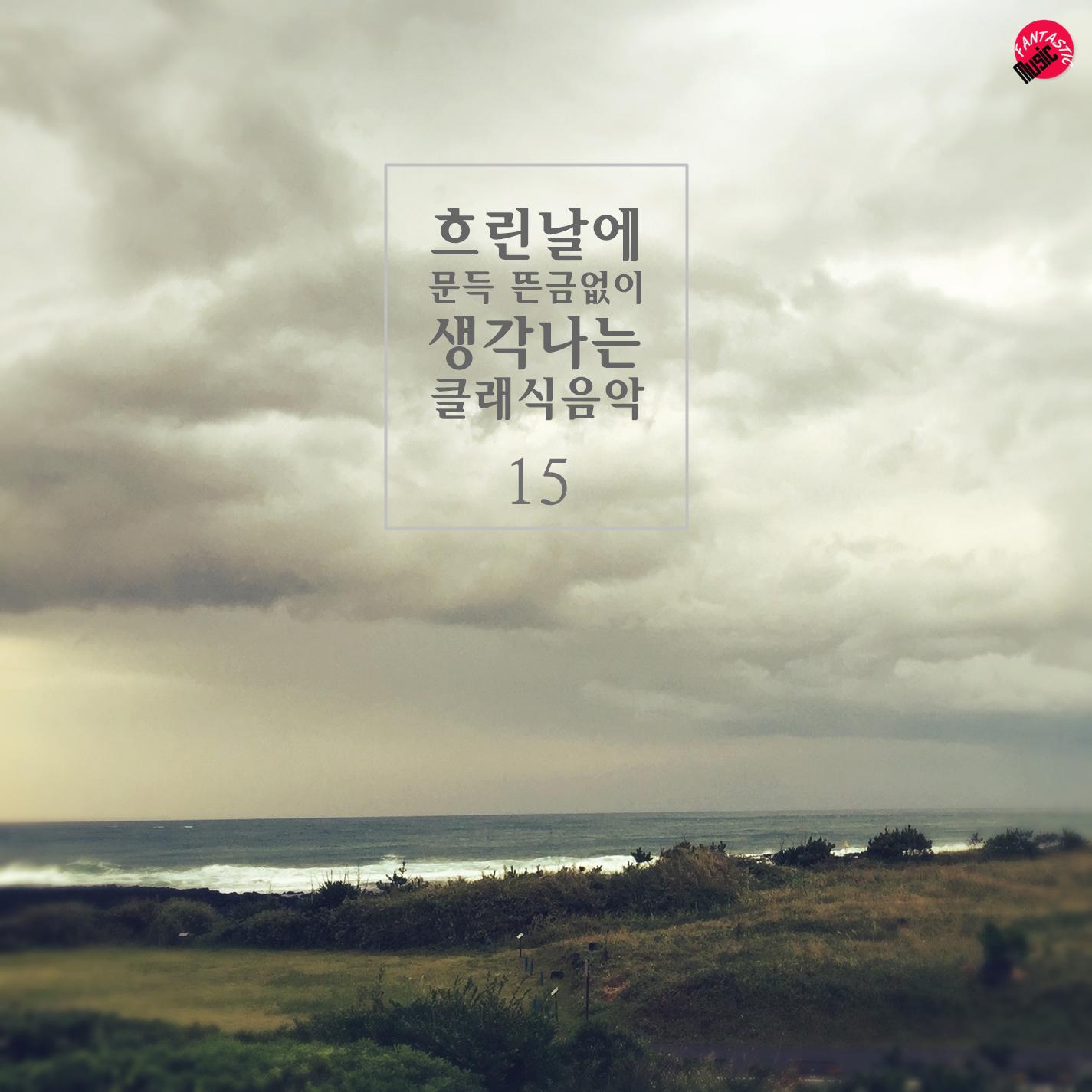 Brahms - Piano Sonata No.1 Op.1 Part.2