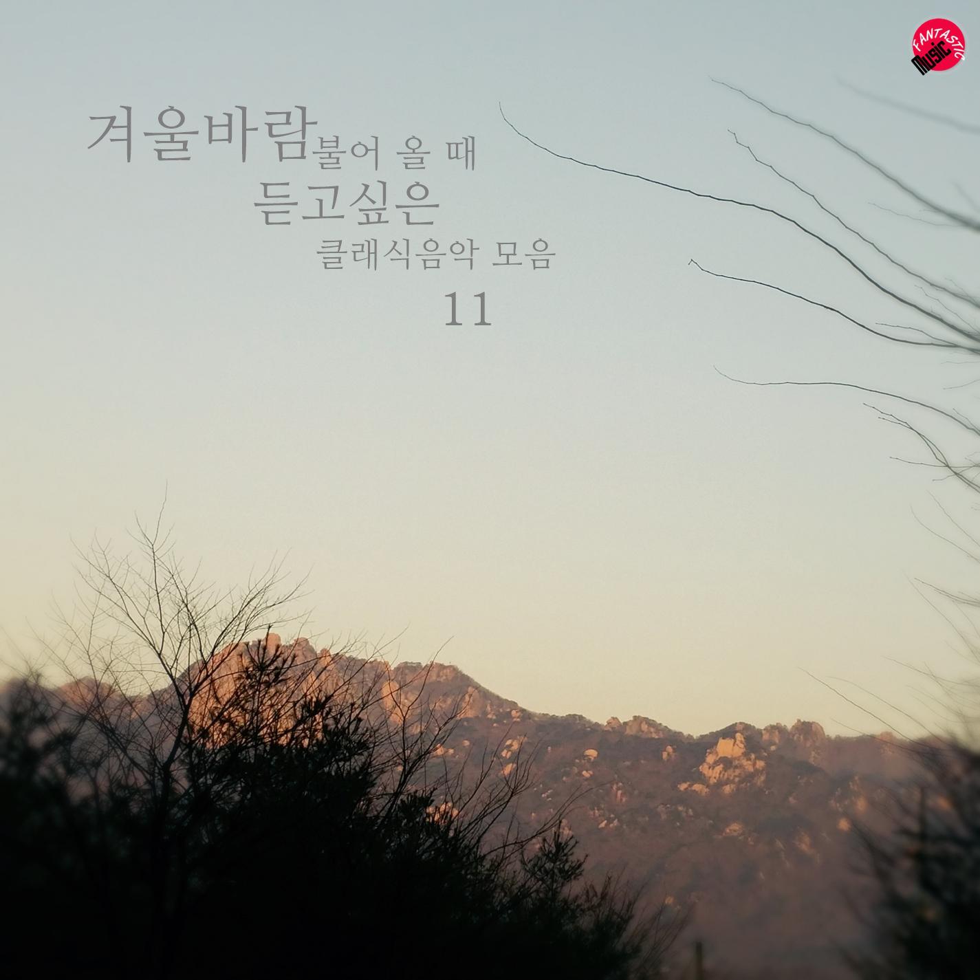 Saint Saens - The Carnival Of Animals The Swan