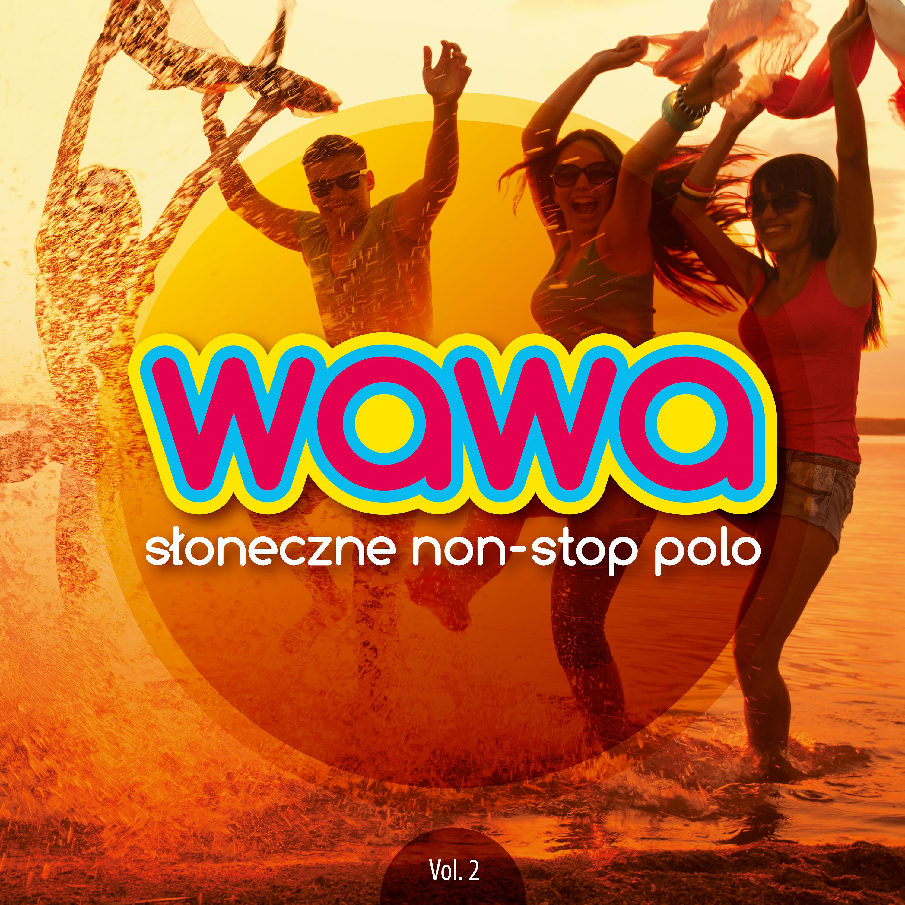 Radio Wawa S oneczne Non Stop Polo Vol. 2