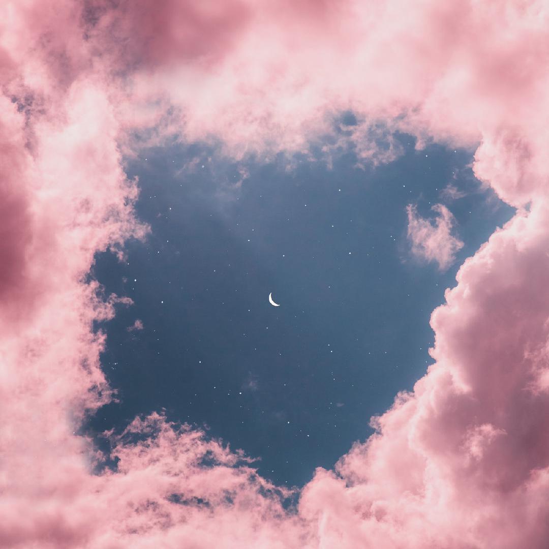 fen fen zhong xu yao ni