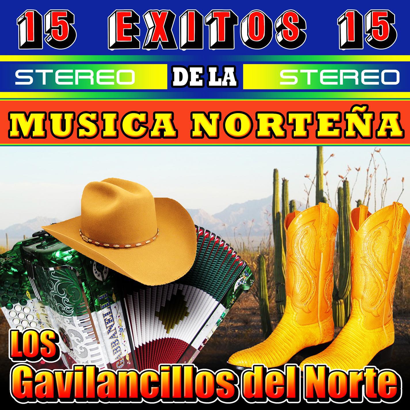 Exitos de la Mu sica Norte a, Vol. 1