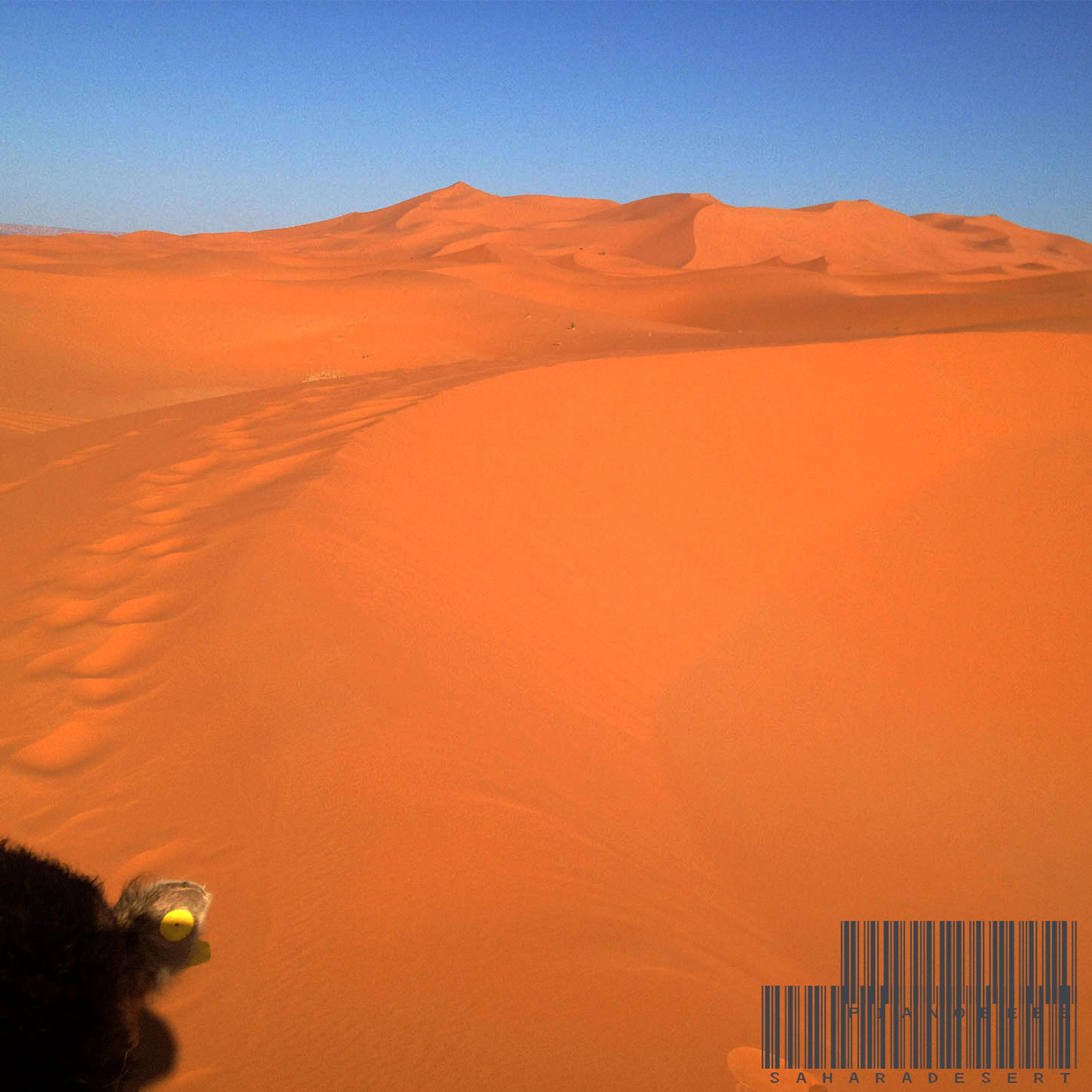 Sahara Desert XIII