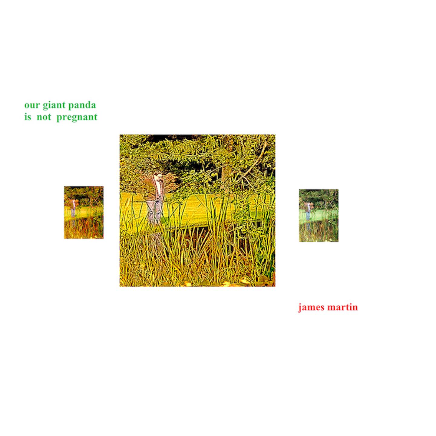 The Long-Legged Scissorman Strikes Again