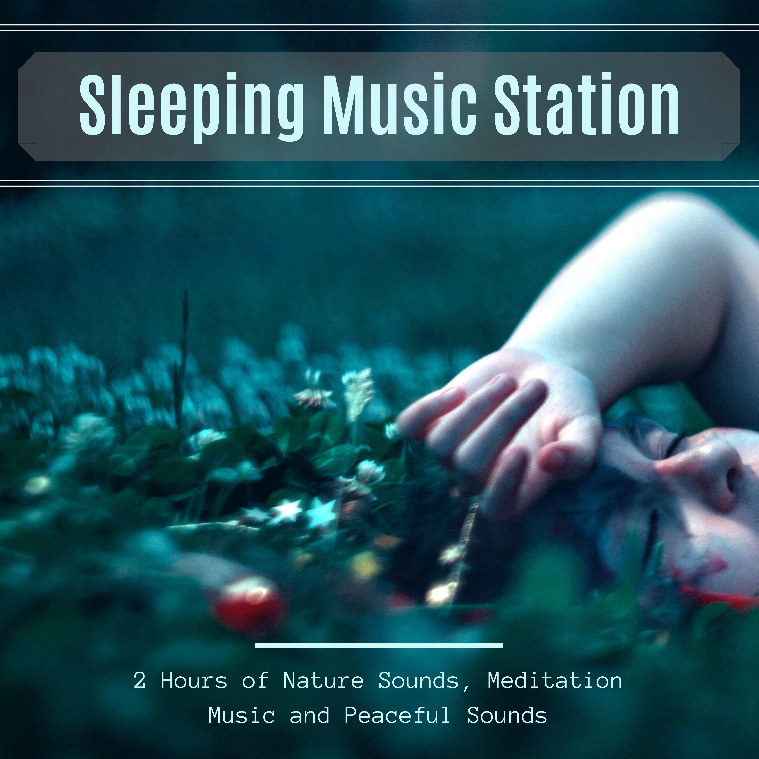 Sleeping Music Station: 2 Hours of Nature Sounds, Meditation Music and Peaceful Sounds