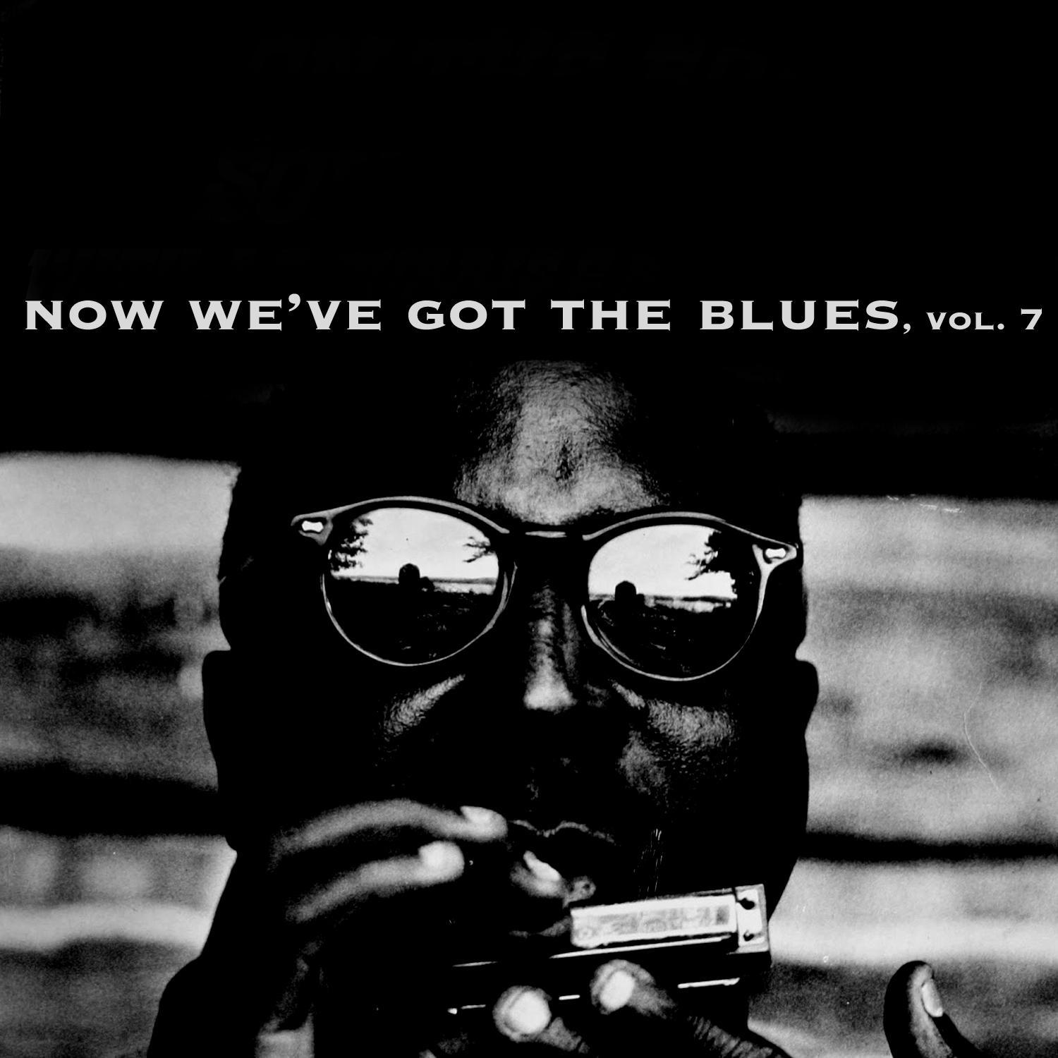 Now We've Got the Blues, Vol. 7