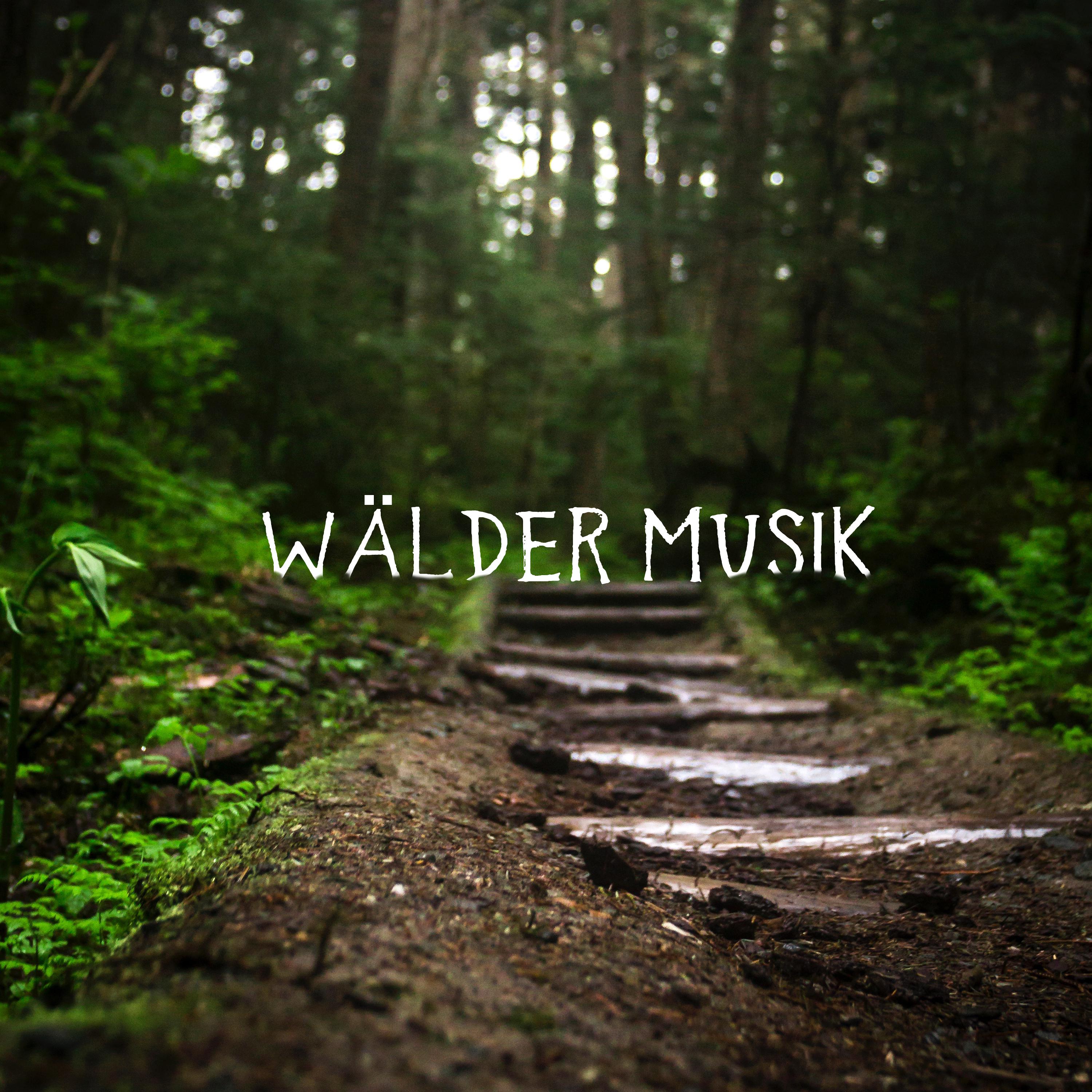 W lder Musik