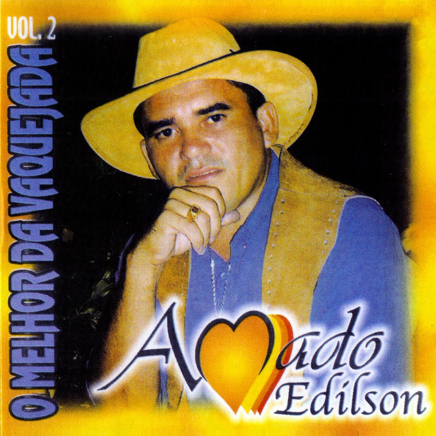 O Melhor da Vaquejada, Vol. 2