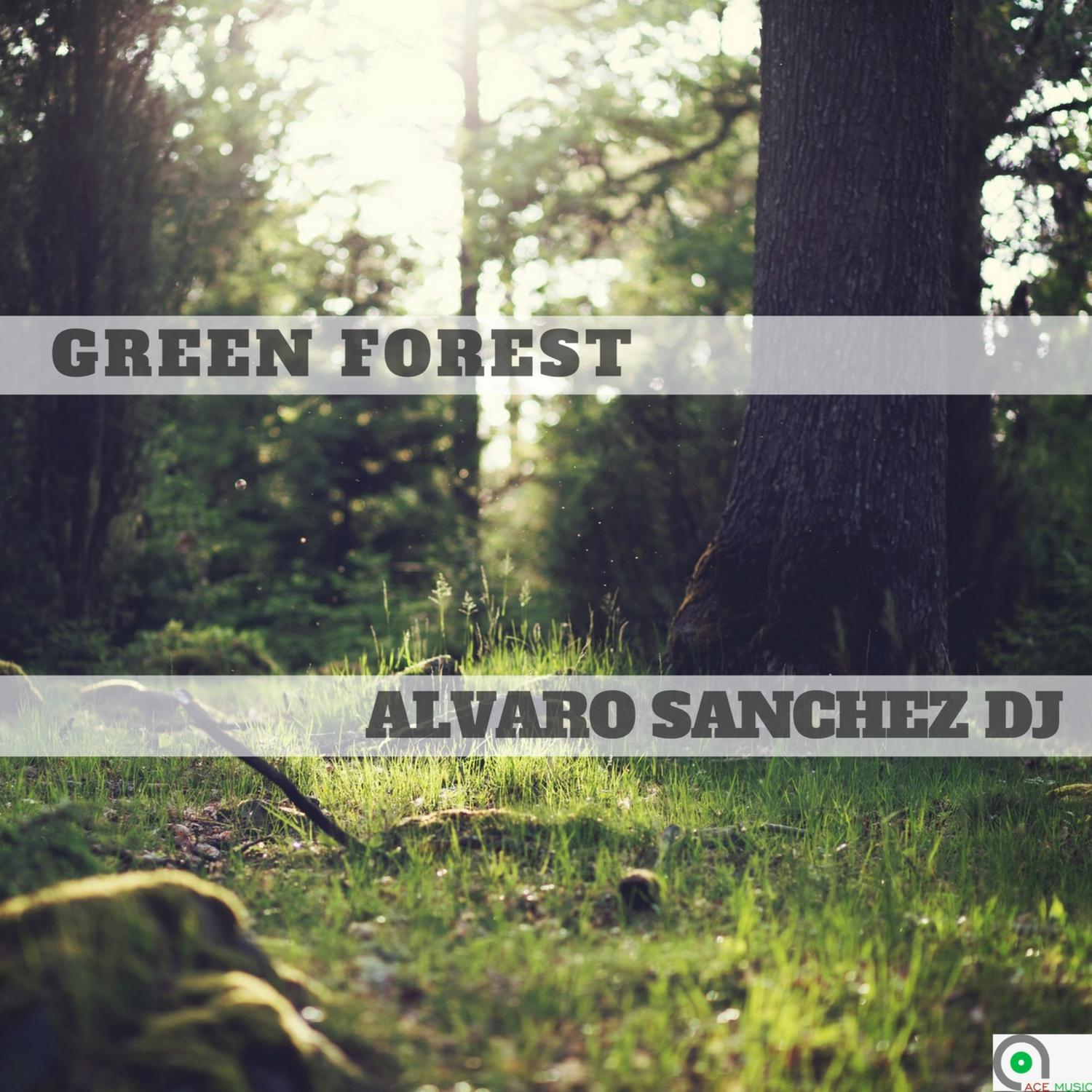 Green Forest