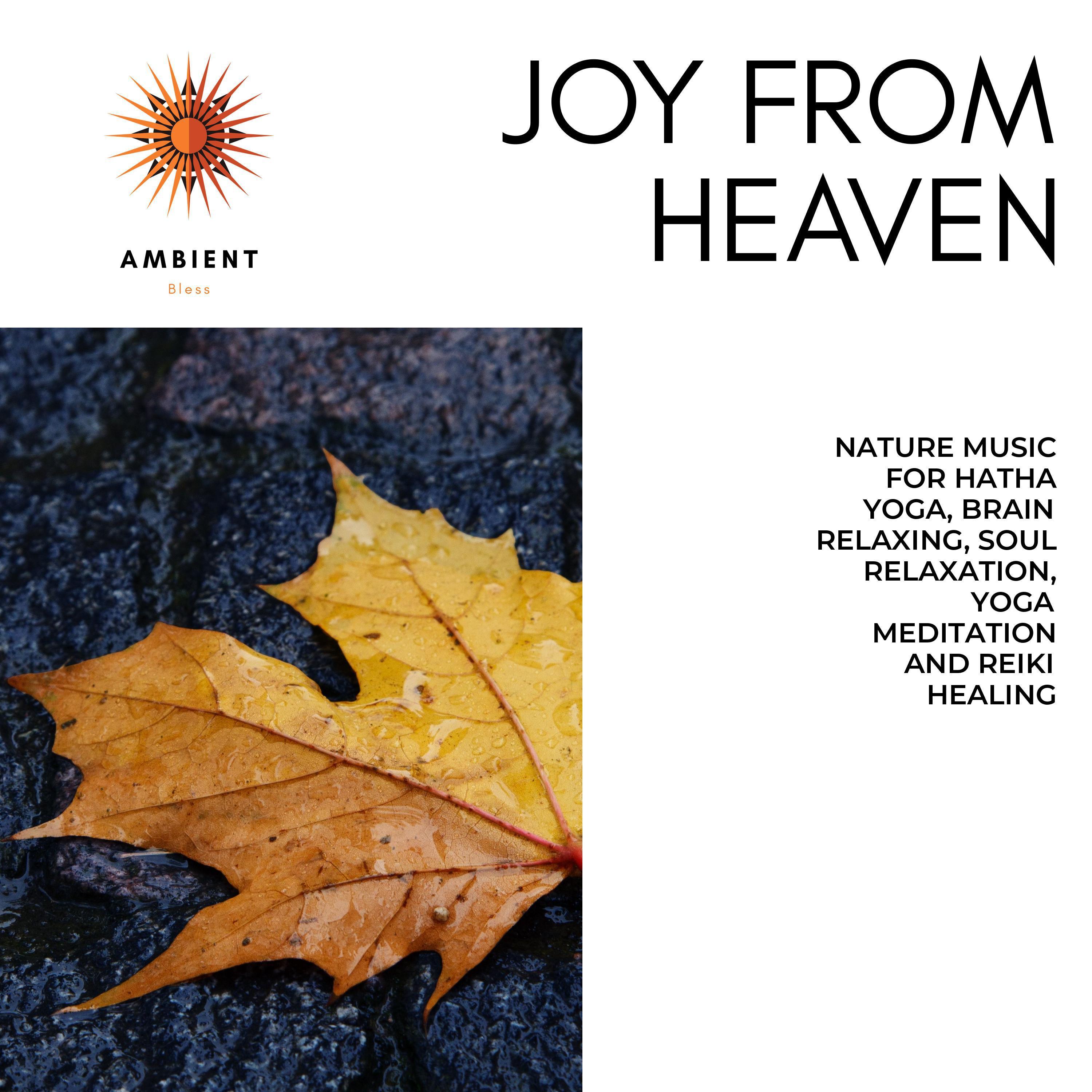 Joy From Heaven (Nature Music For Hatha Yoga, Brain Relaxing, Soul Relaxation, Yoga Meditation And Reiki Healing)
