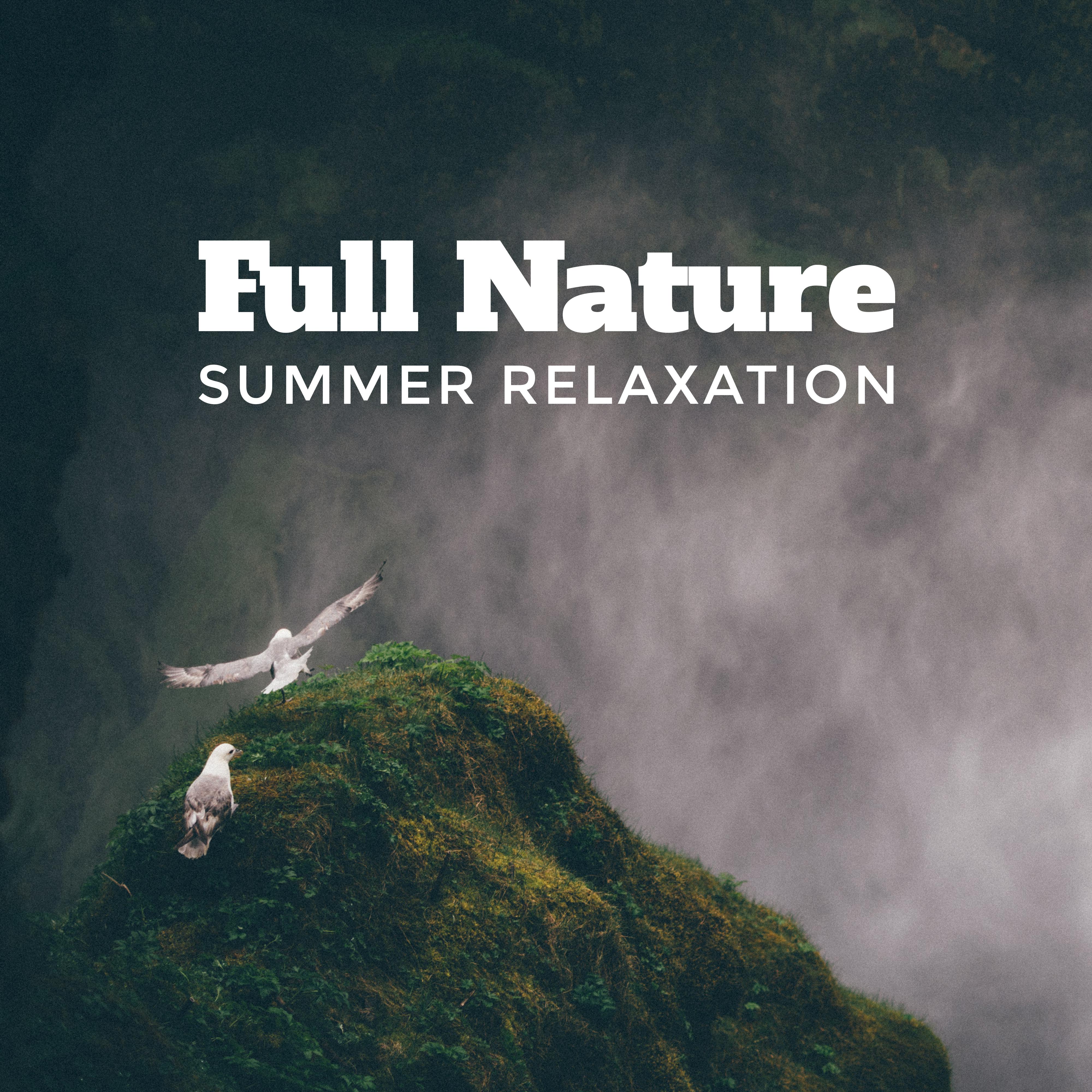 Full Nature Summer Relaxation: 2019 New Age Nature Music with Piano Melodies, Most Relaxing Sounds of Birds Singing, Flowing Water & Pouring Rain, Songs Perfect for Home Calm & Rest or Wellness Spa Salon