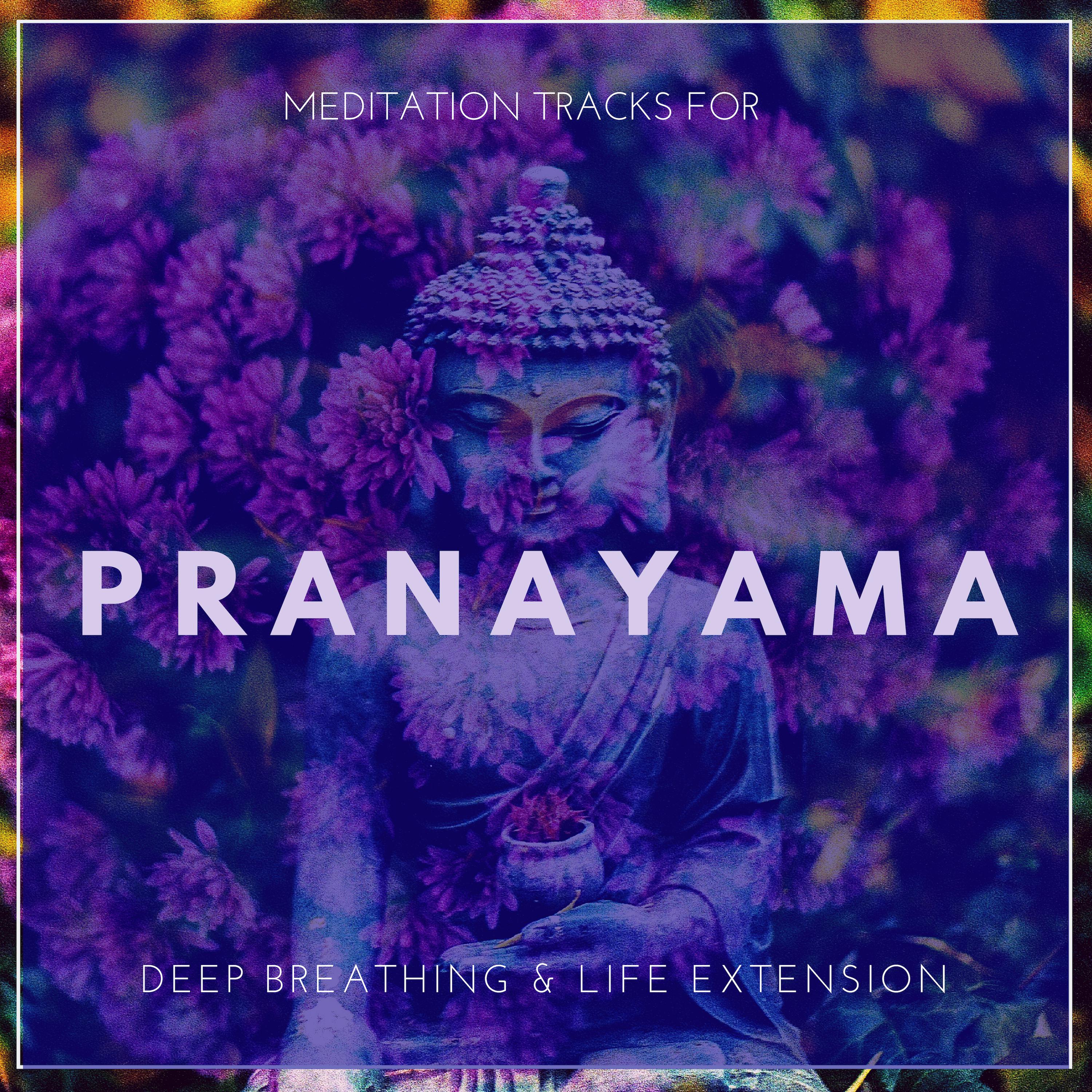 Pranayama - Meditation Tracks For Deep Breathing & Life Extension
