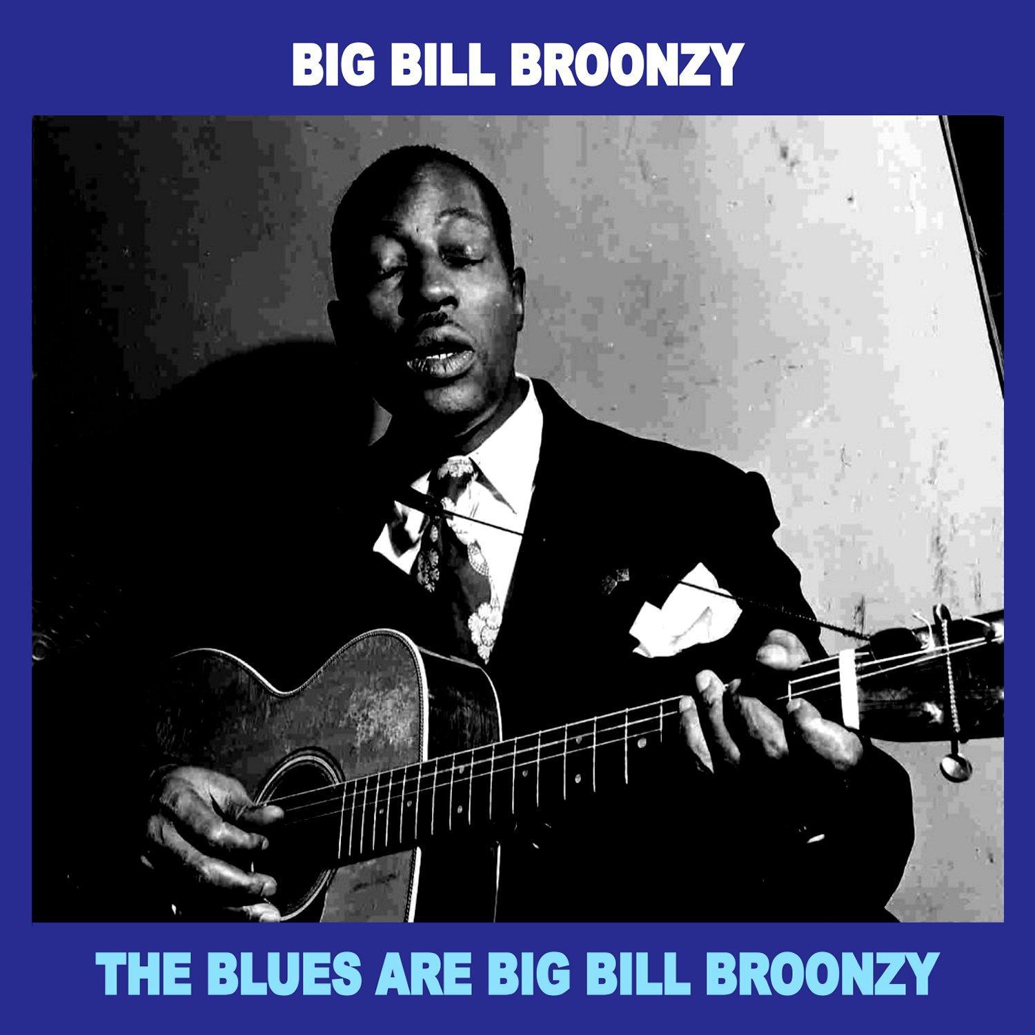 The Blues Are Big Bill Broonzy