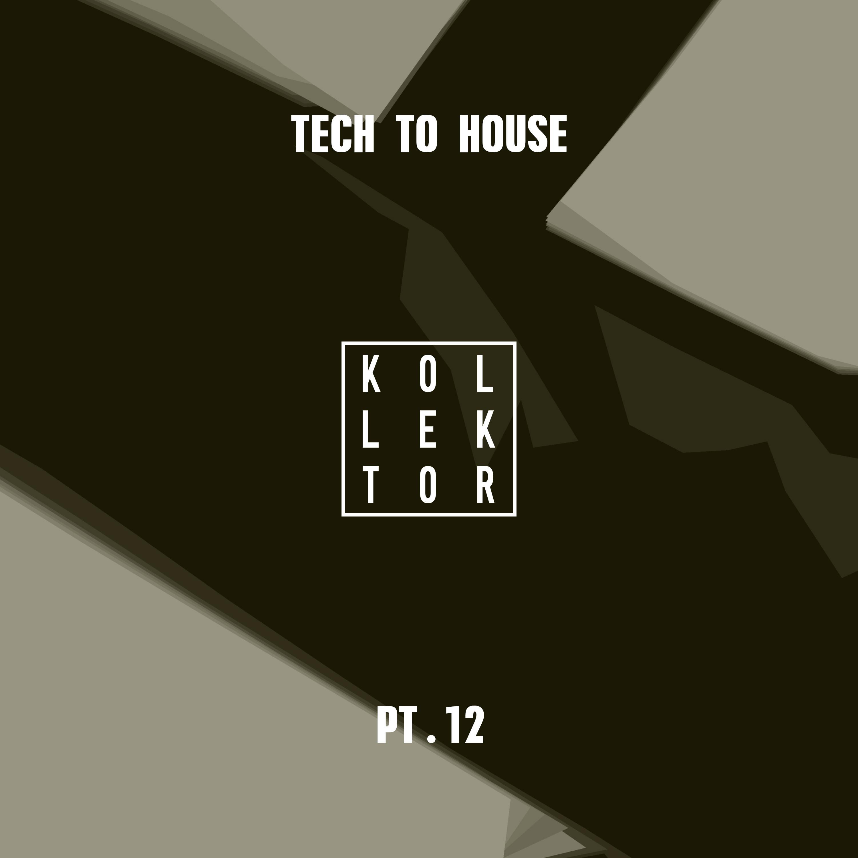 Tech to House, Pt. 12