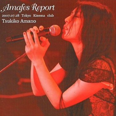 Amafes Report 2007