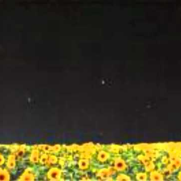 she goes to the world's end