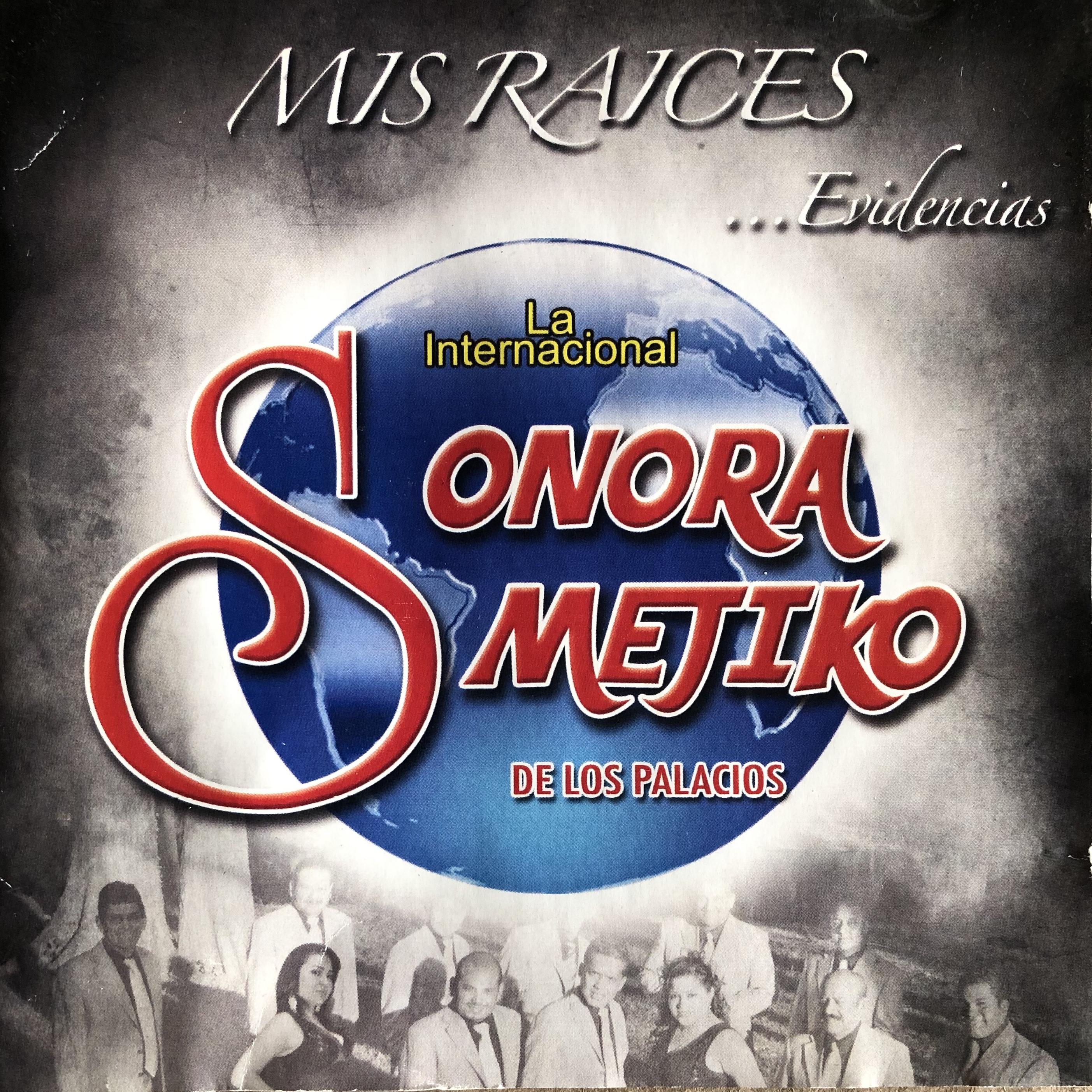 Mis Rai ces, Evidencias