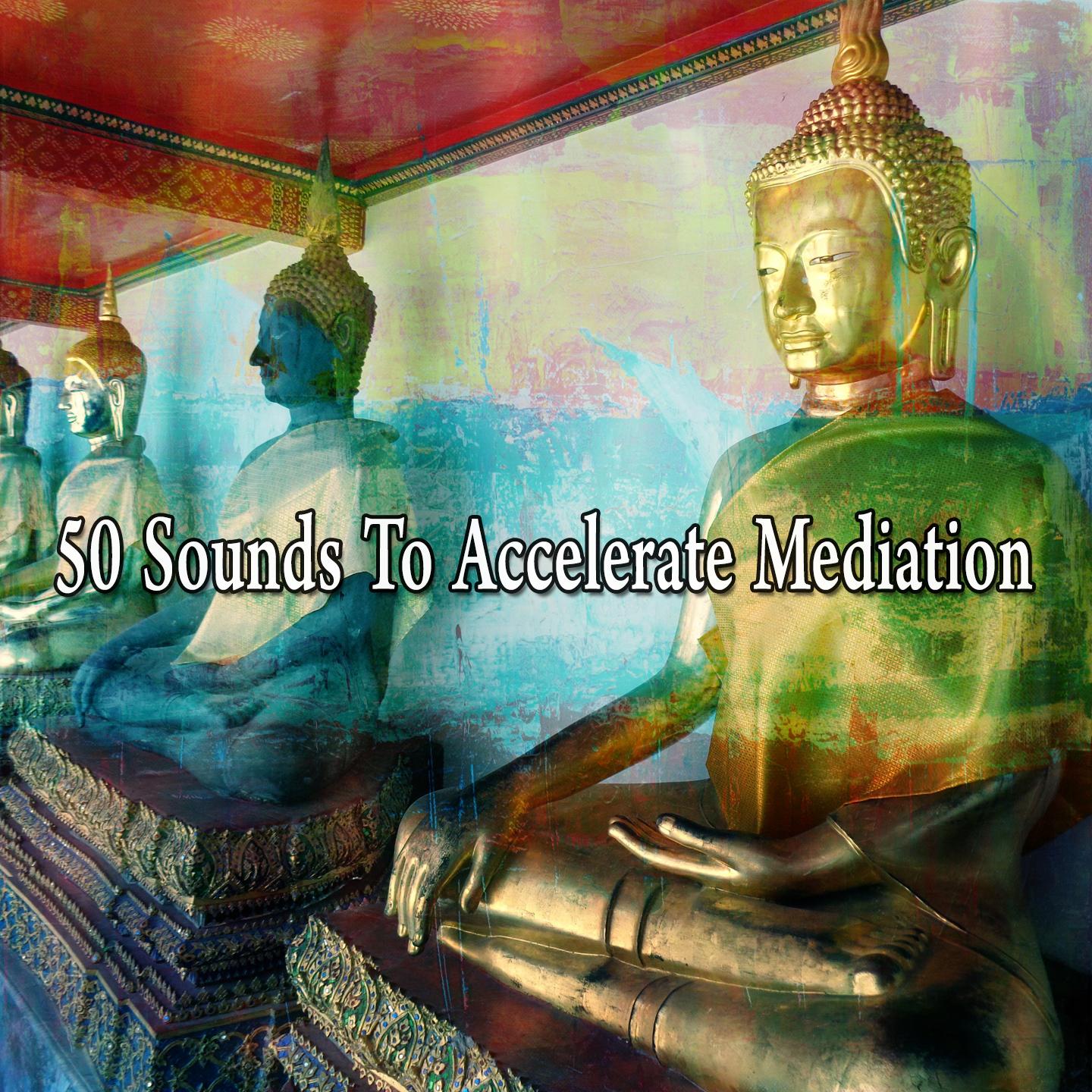 50 Sounds to Accelerate Mediation