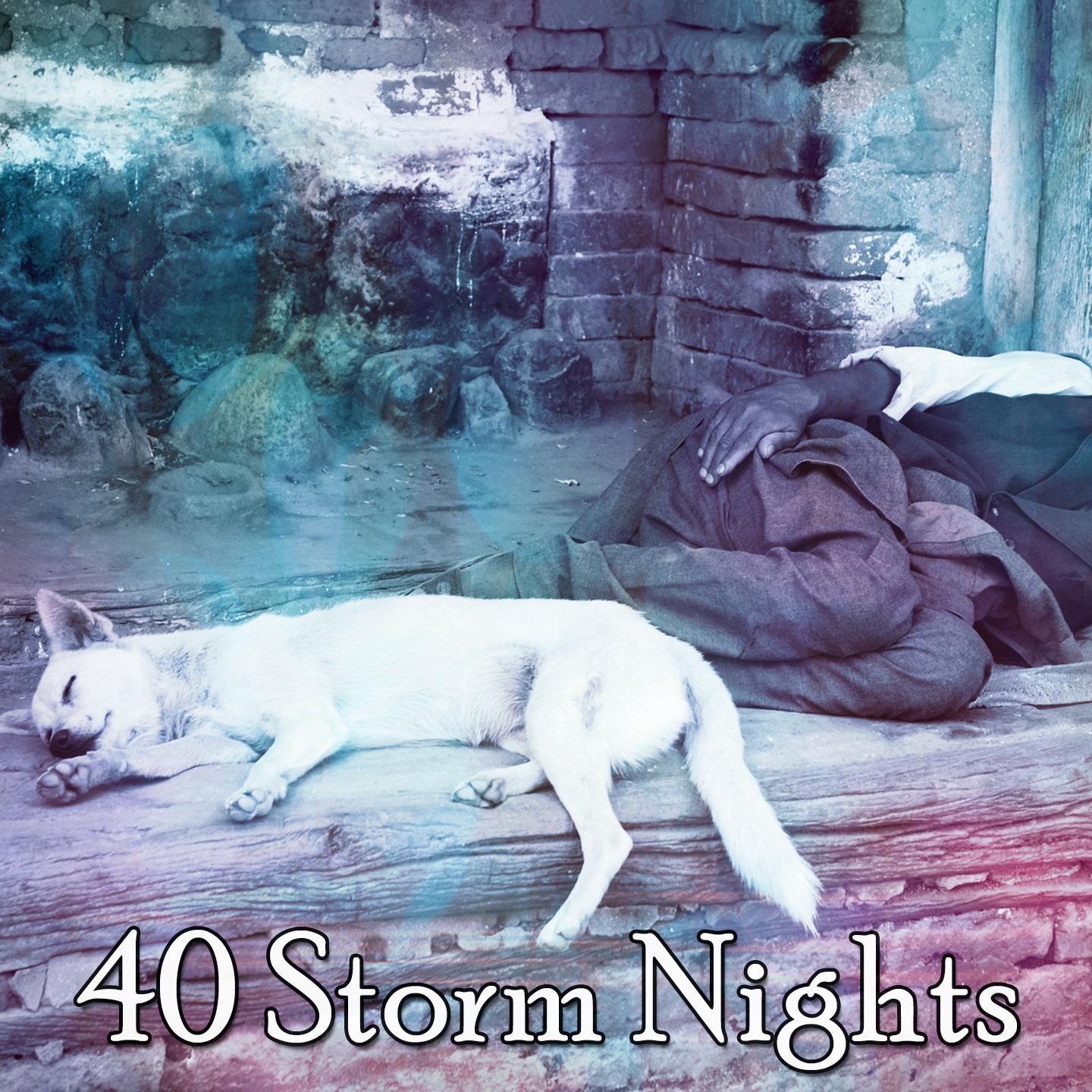 40 Storm Nights