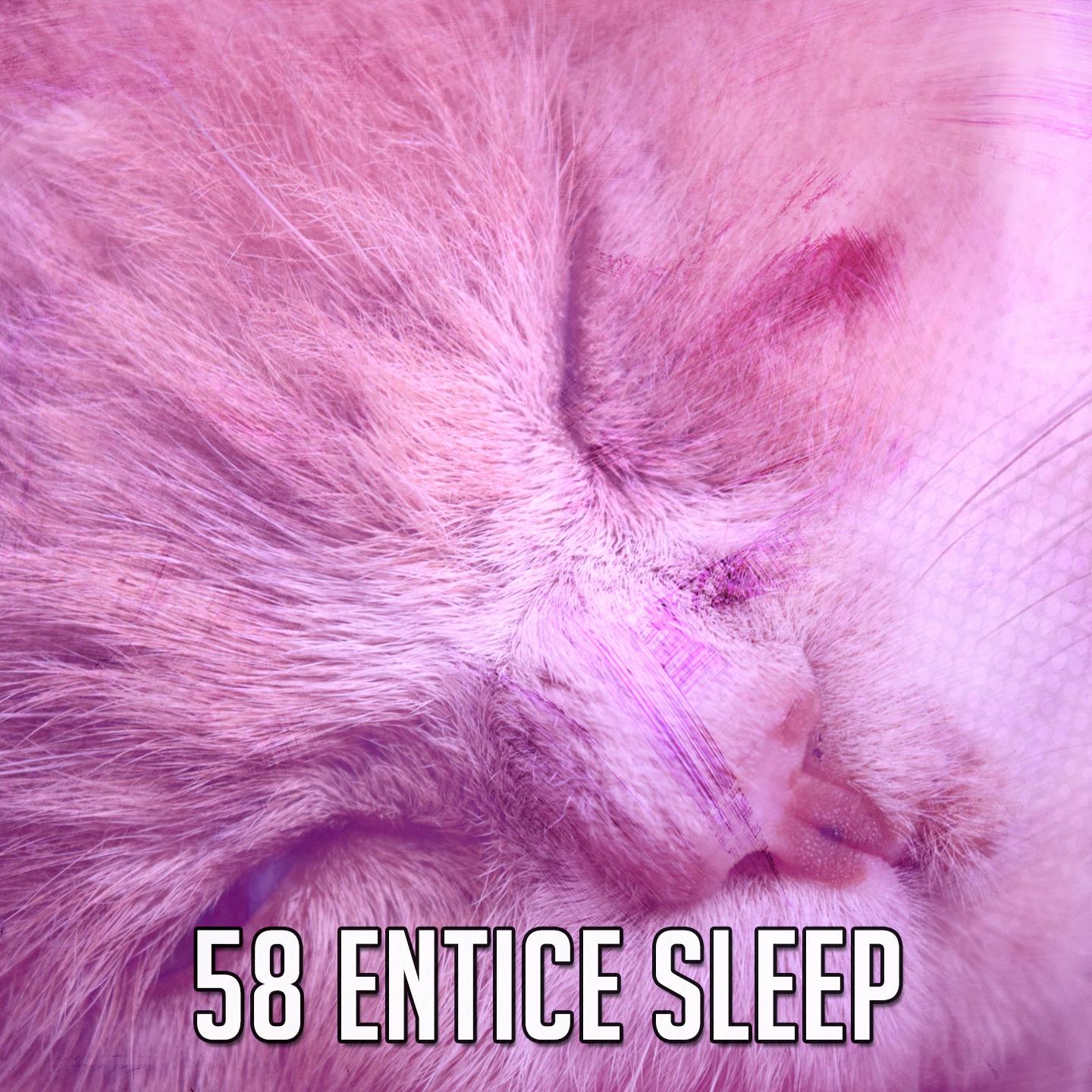 58 Entice Sleep