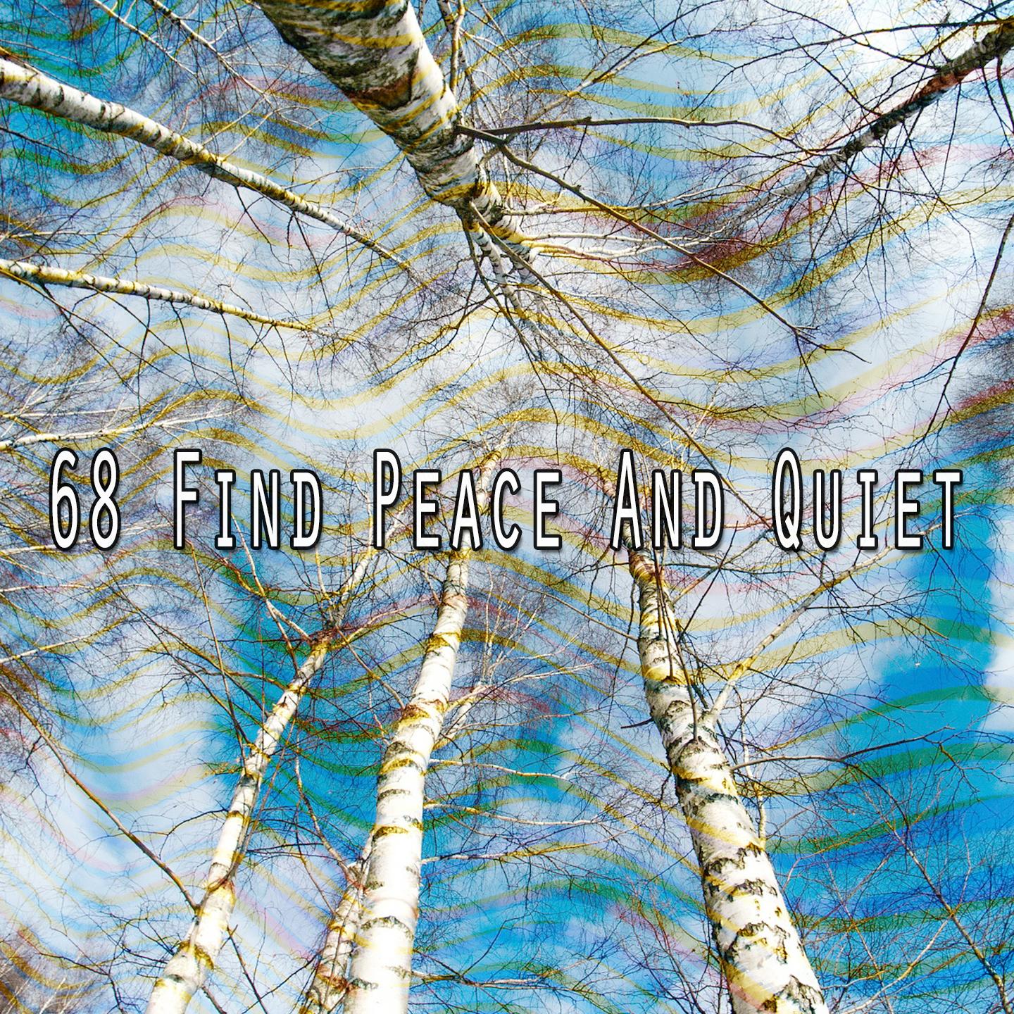 68 Find Peace and Quiet
