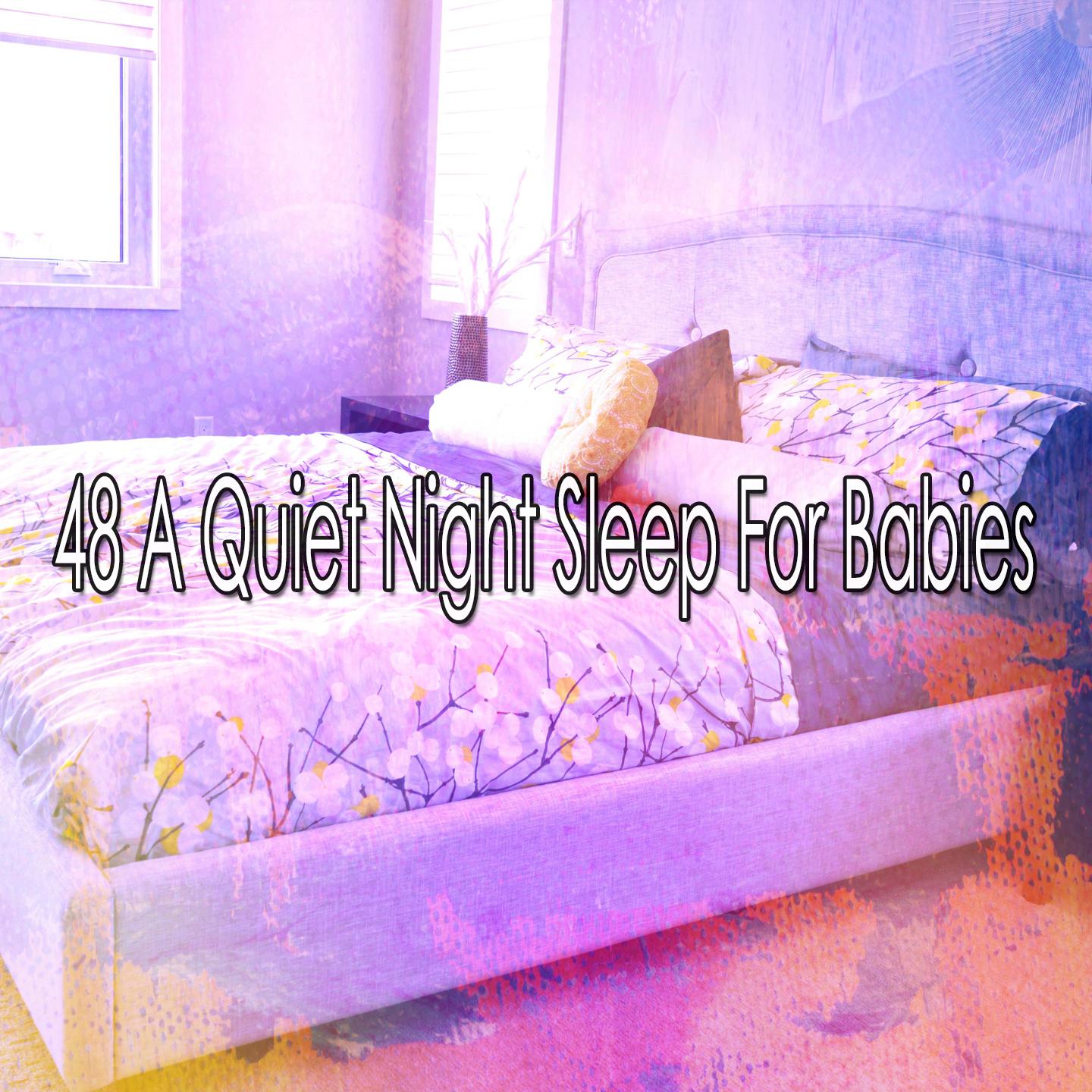 48 A Quiet Night Sleep for Babies