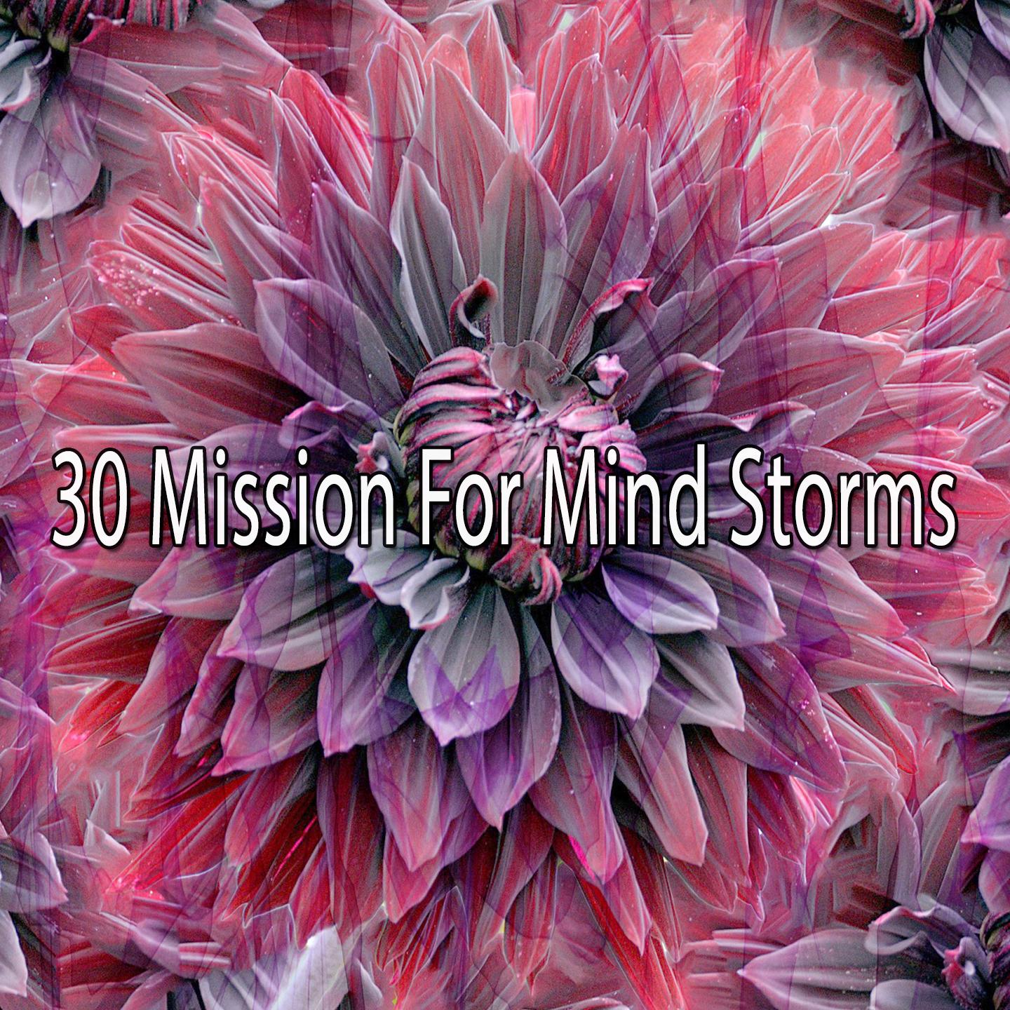 30 Mission for Mind Storms