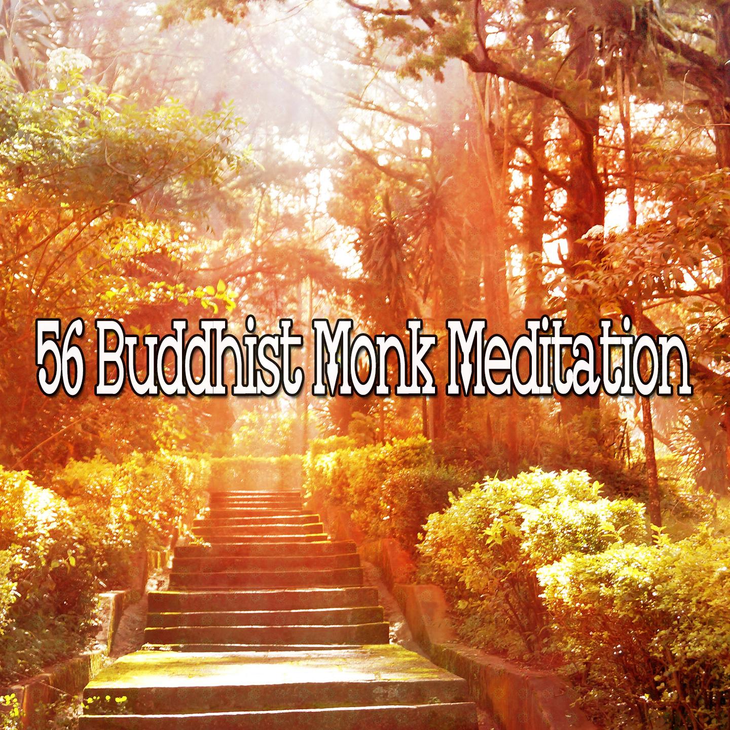 56 Buddhist Monk Meditation
