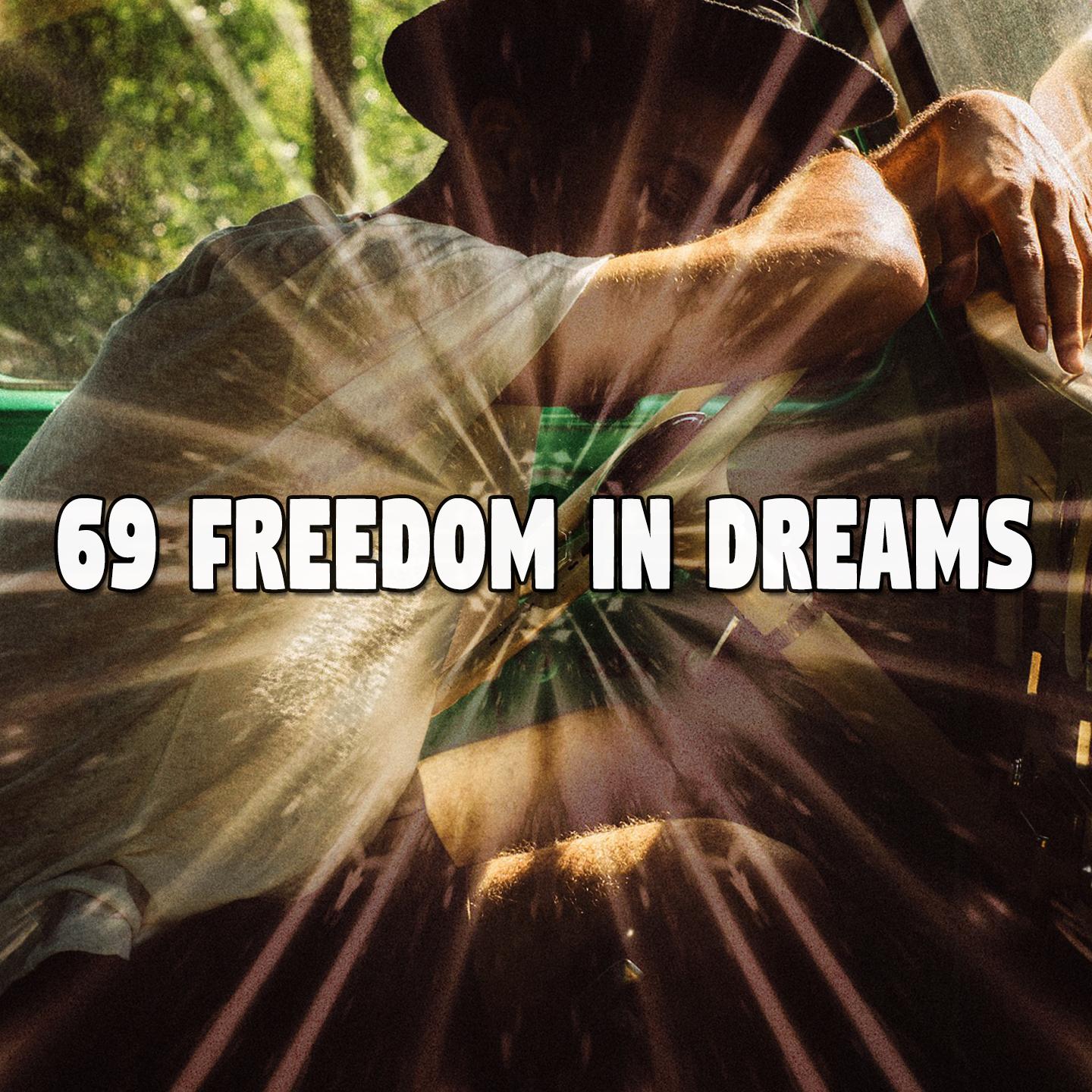 69 Freedom in Dreams